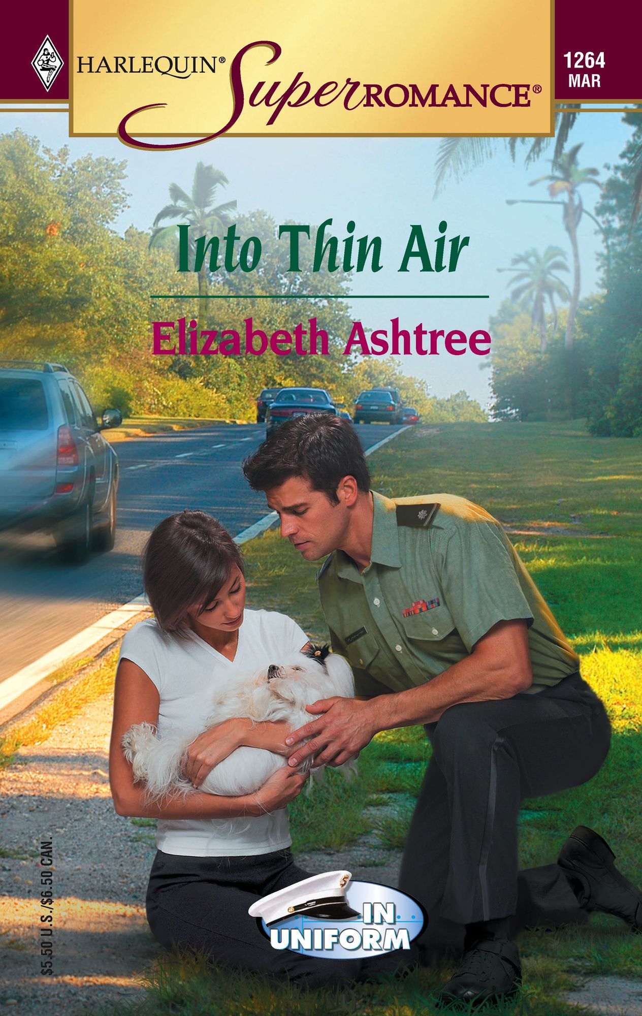 Into Thin Air (Harlequin Super Romance #1264)