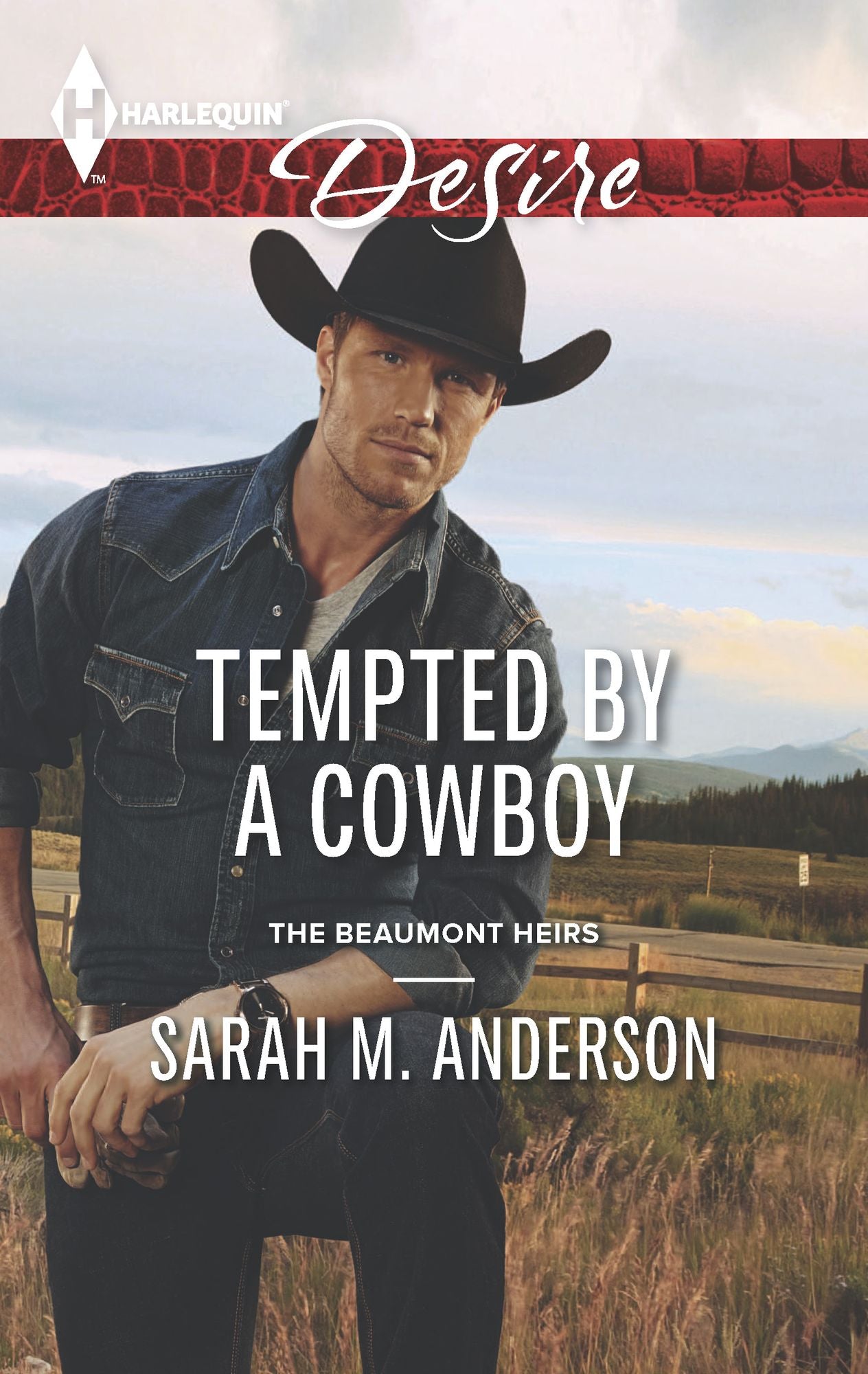 Tempted by a Cowboy (Harlequin Desire Series #2333)