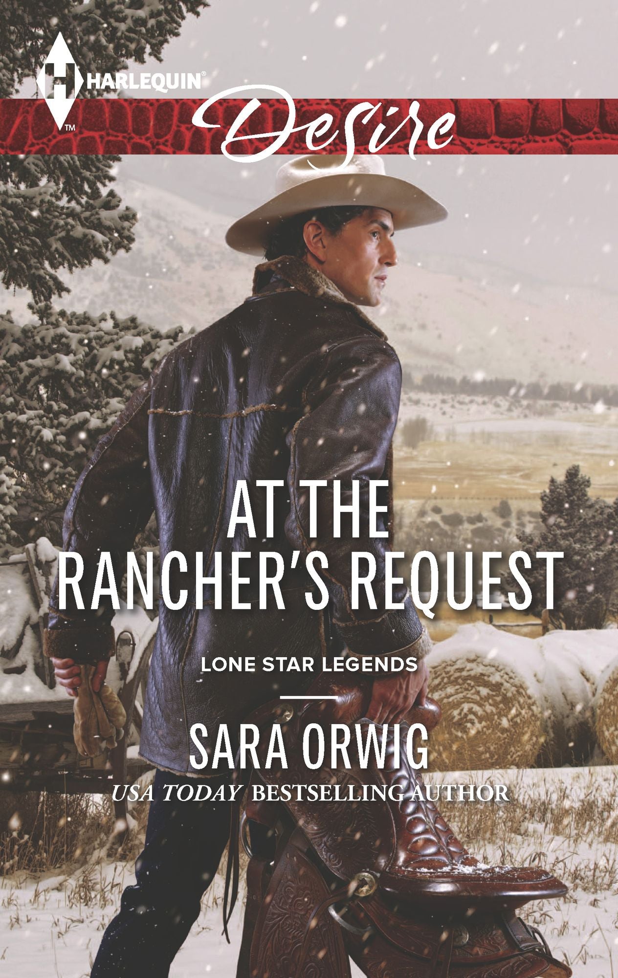 At the Rancher's Request (Harlequin Desire Series #2361)