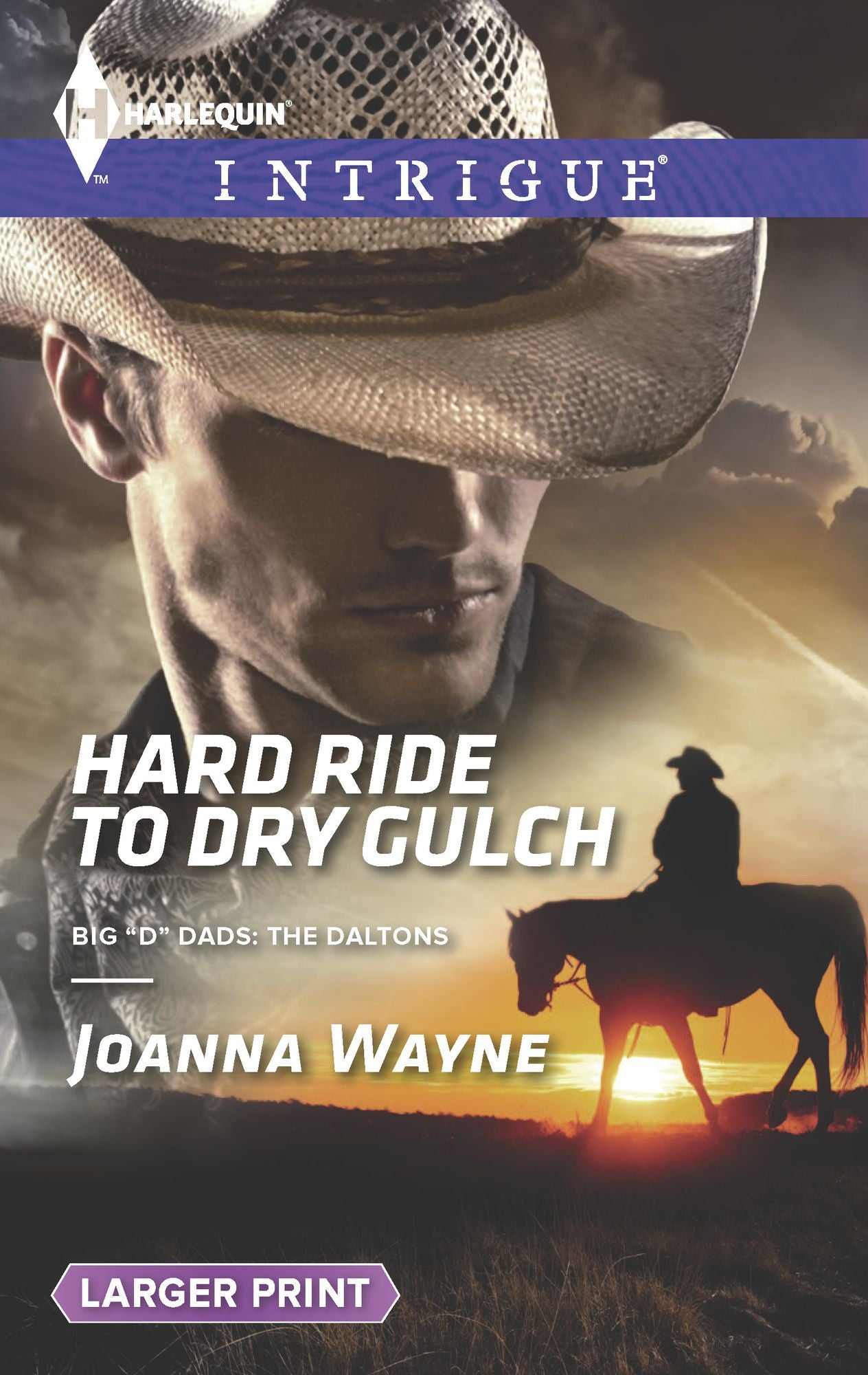 Hard Ride to Dry Gulch (Harlequin LP Intrigue Series #1504)