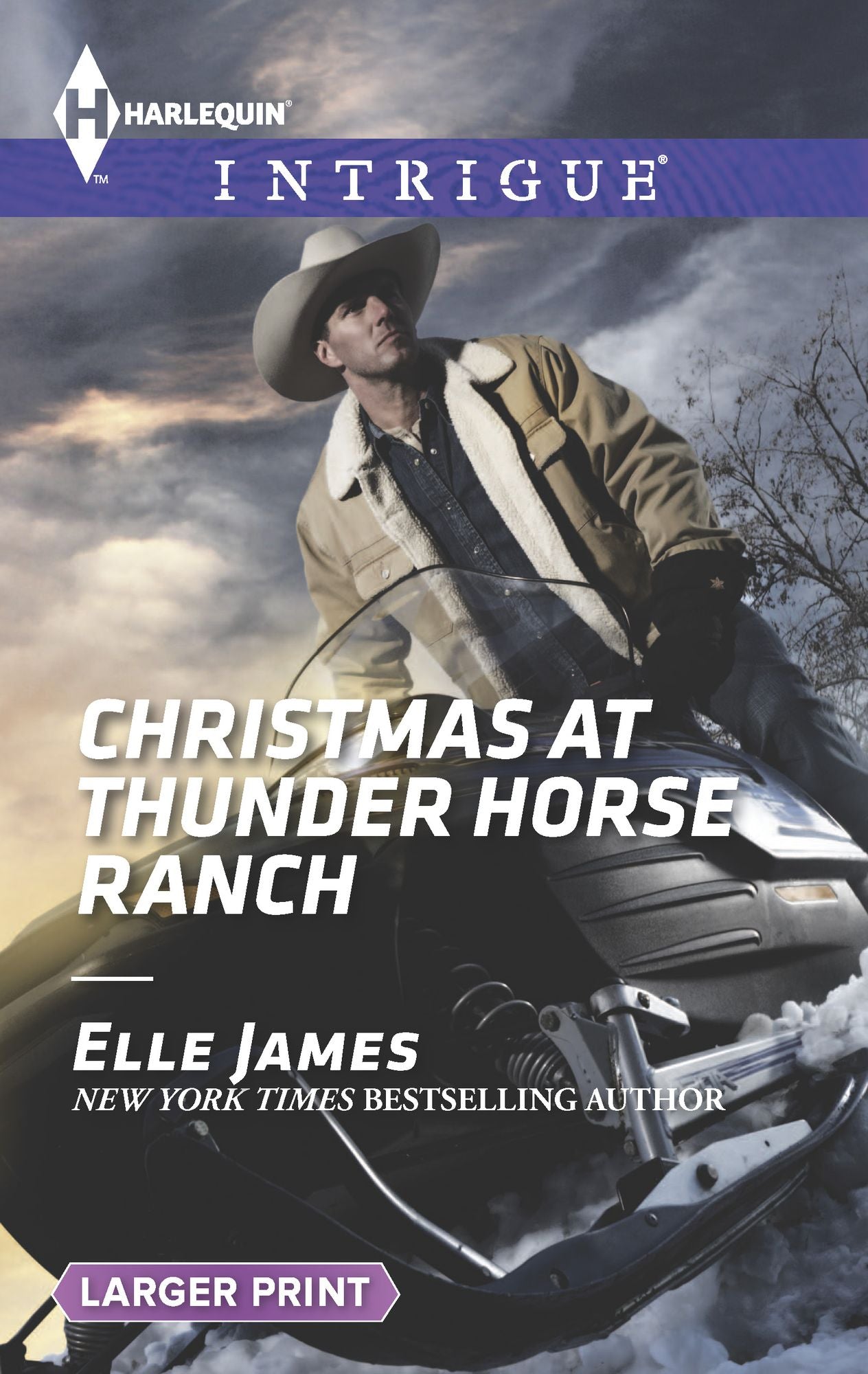 Christmas at Thunder Horse Ranch (Harlequin LP Intrigue Series #1525)