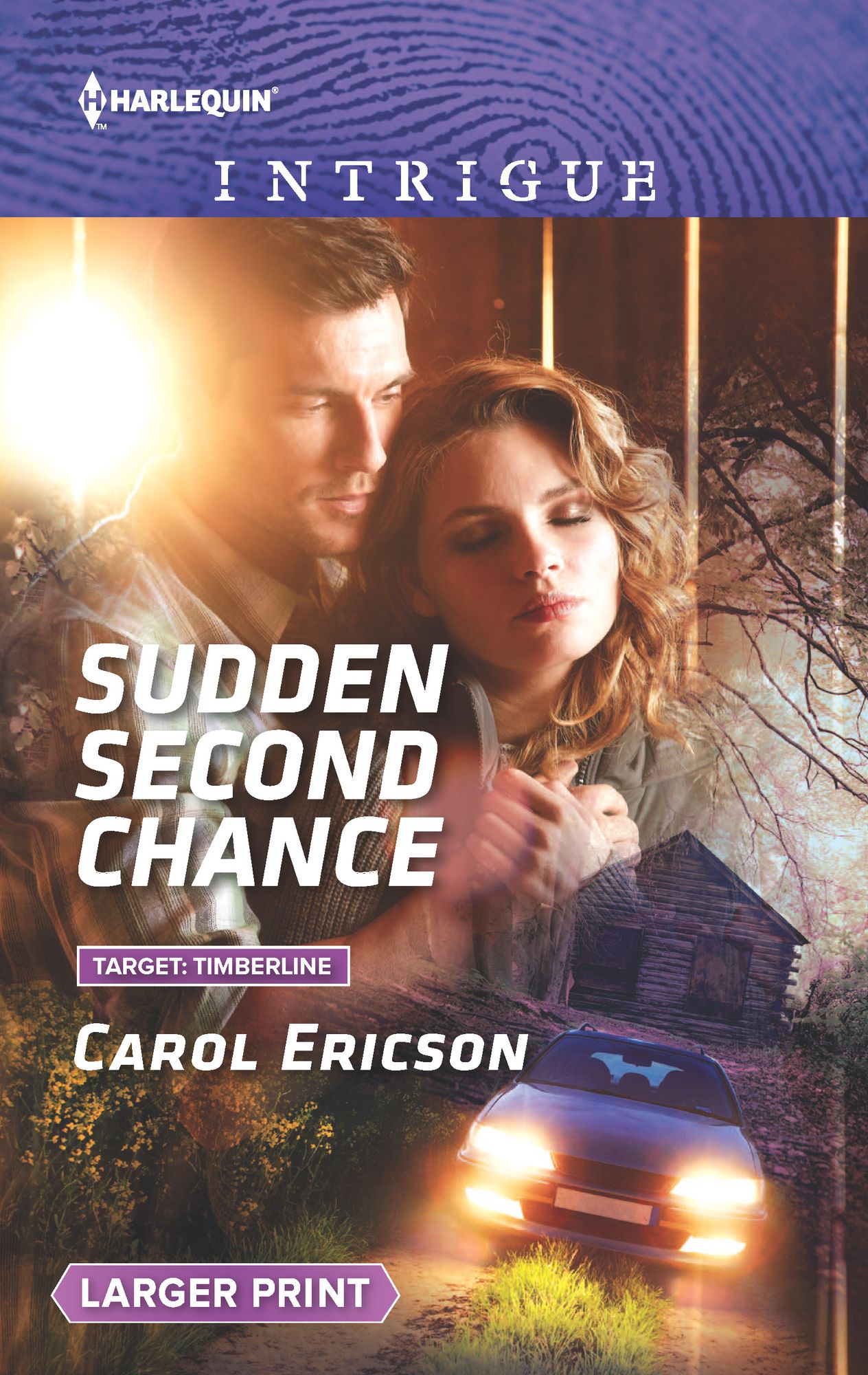 Sudden Second Chance