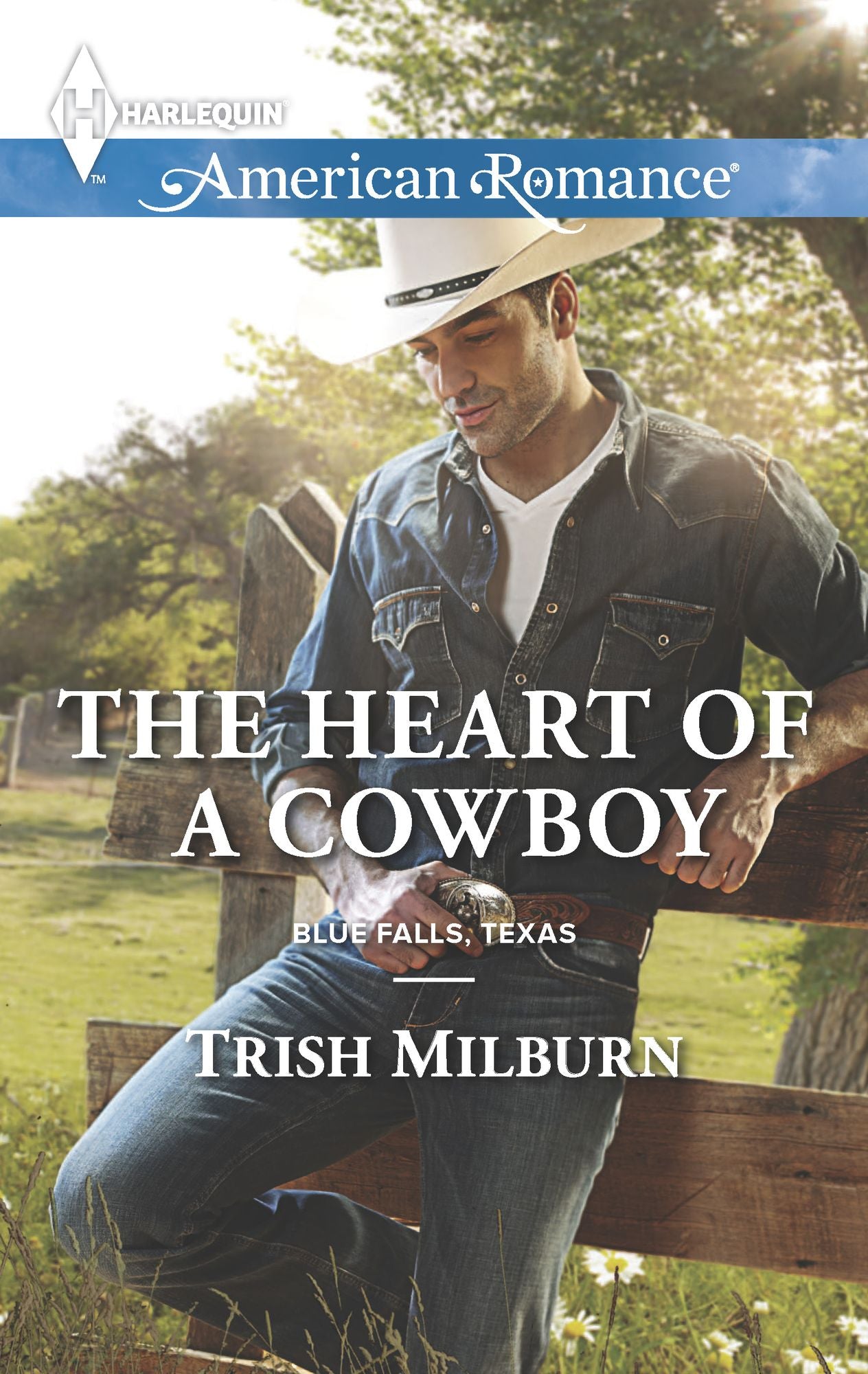 The Heart of a Cowboy (Harlequin American Romance Series #1555)