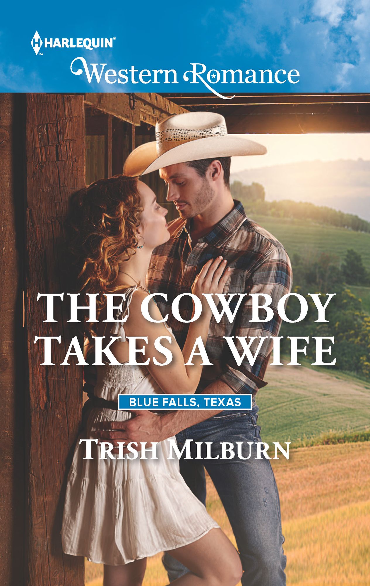 The Cowboy Takes a Wife
