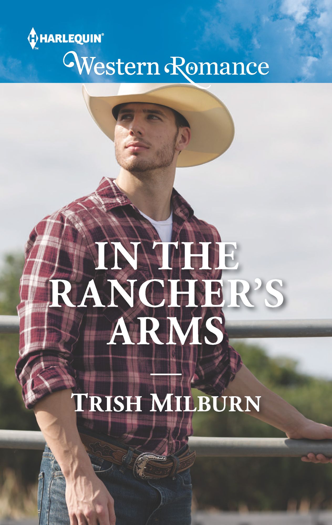 In the Rancher's Arms