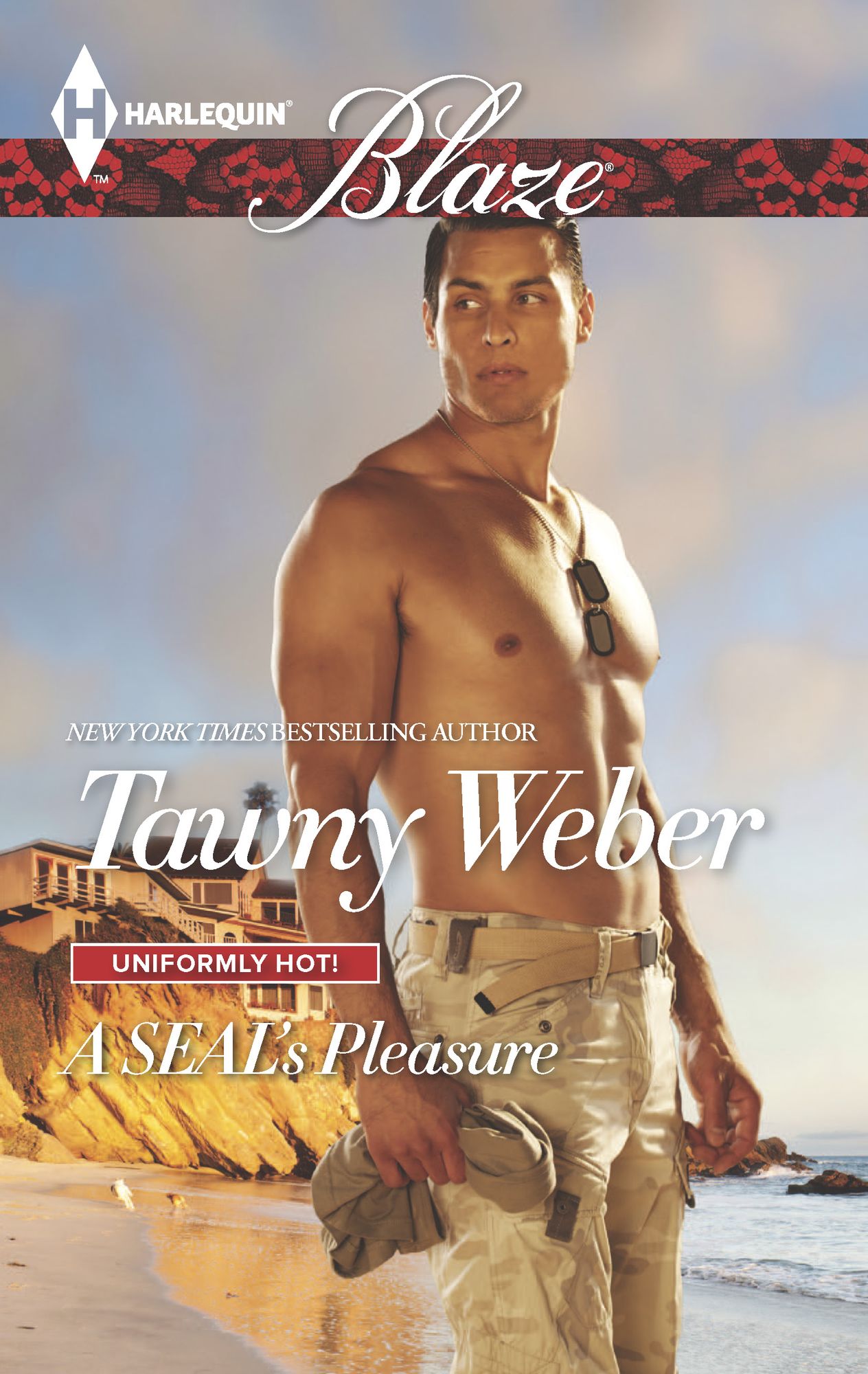 A SEAL's Pleasure (Harlequin Blaze Series #843)