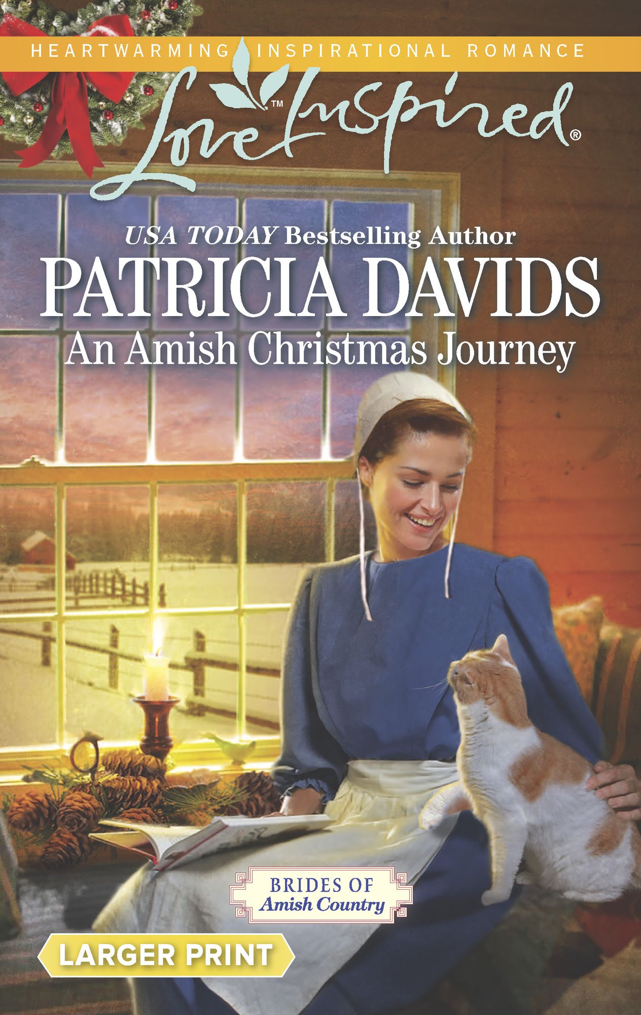An Amish Christmas Journey (Love Inspired LP Series)
