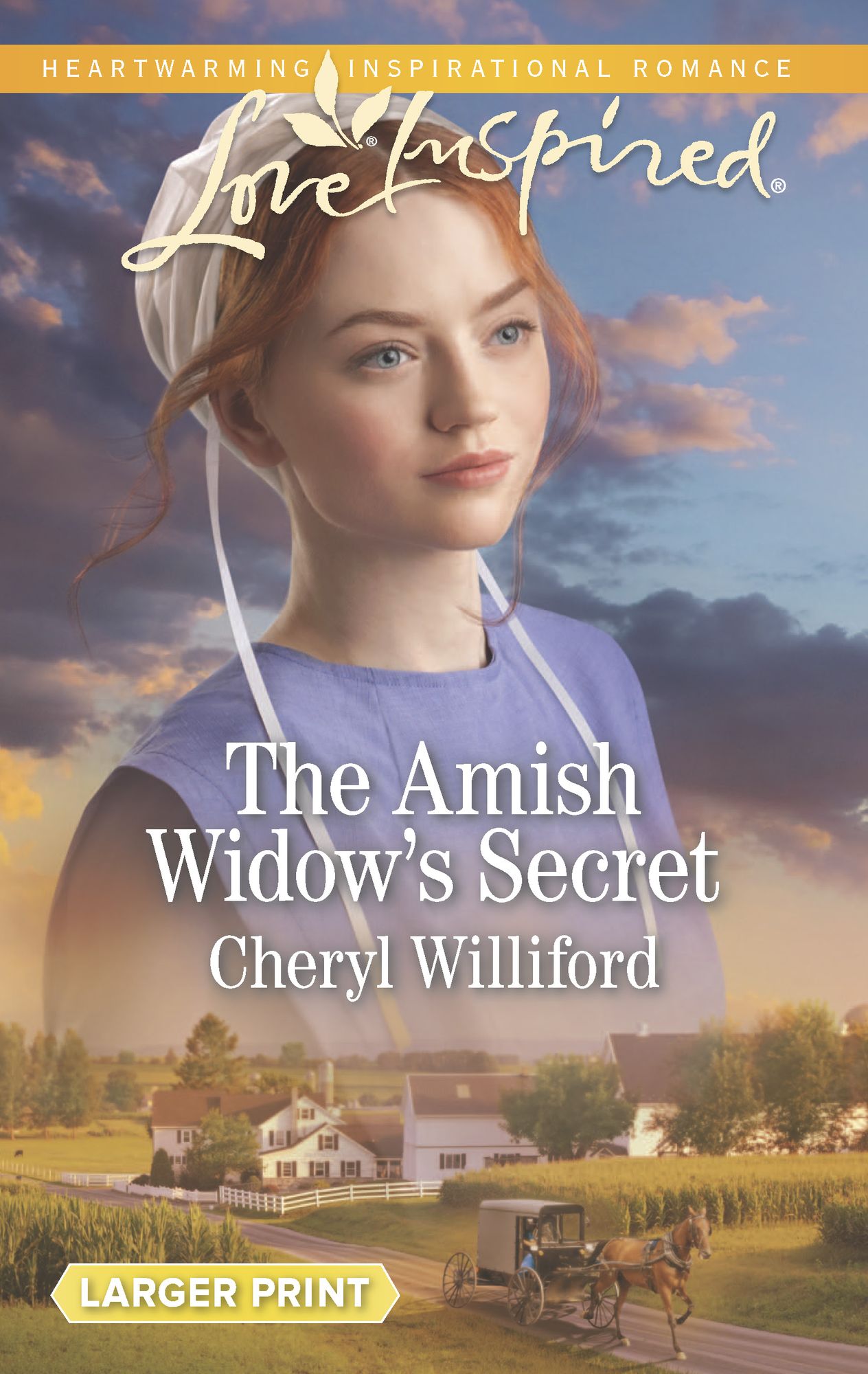 The Amish Widow's Secret