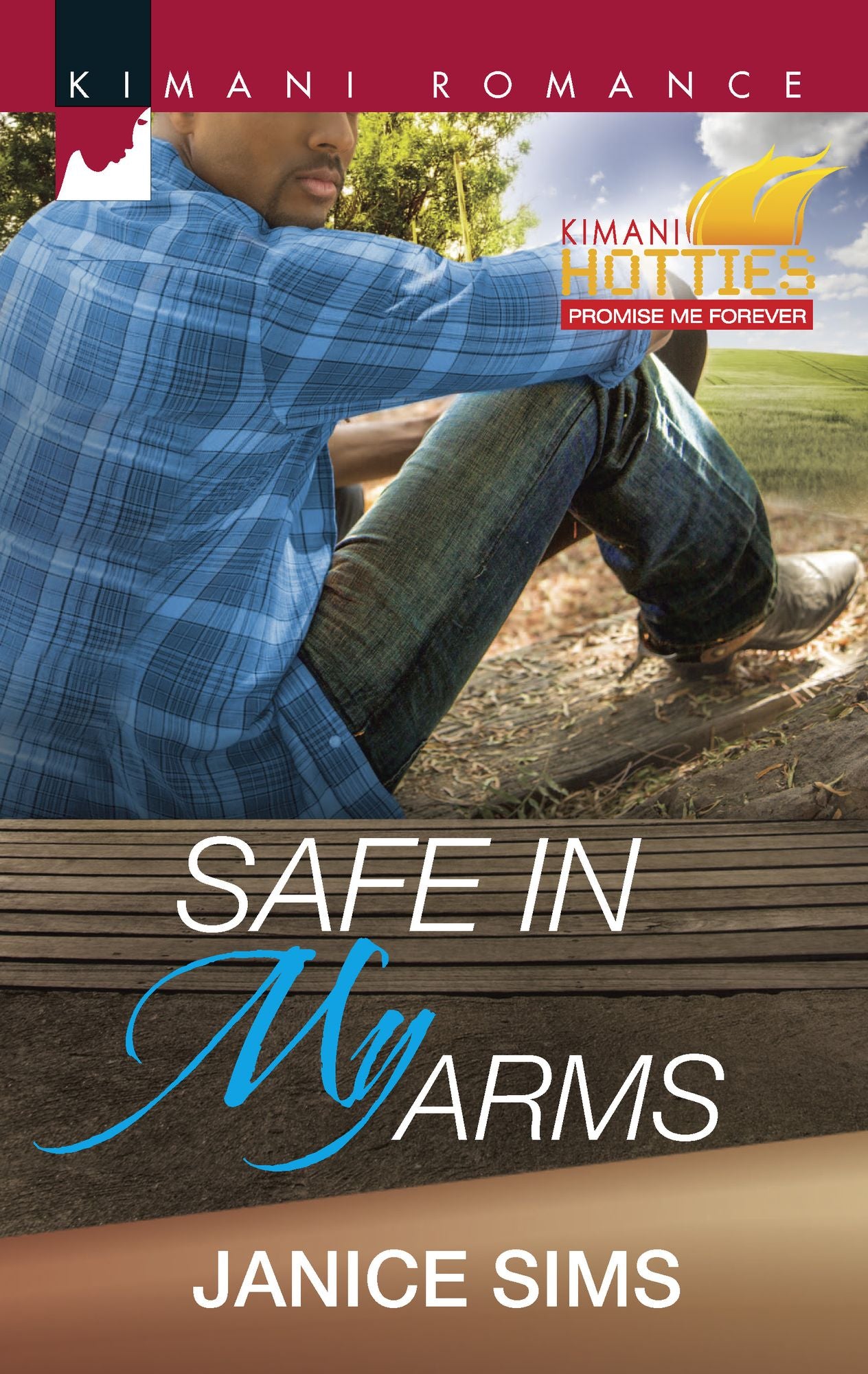 Safe in My Arms (Harlequin Kimani Romance Series #379)