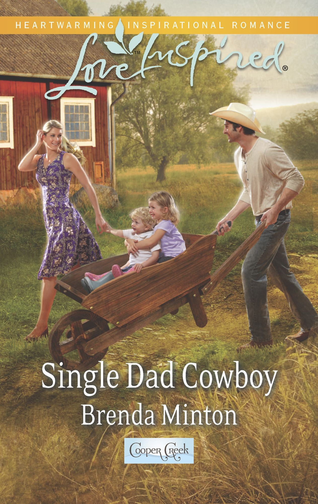 Single Dad Cowboy (Love Inspired Series)