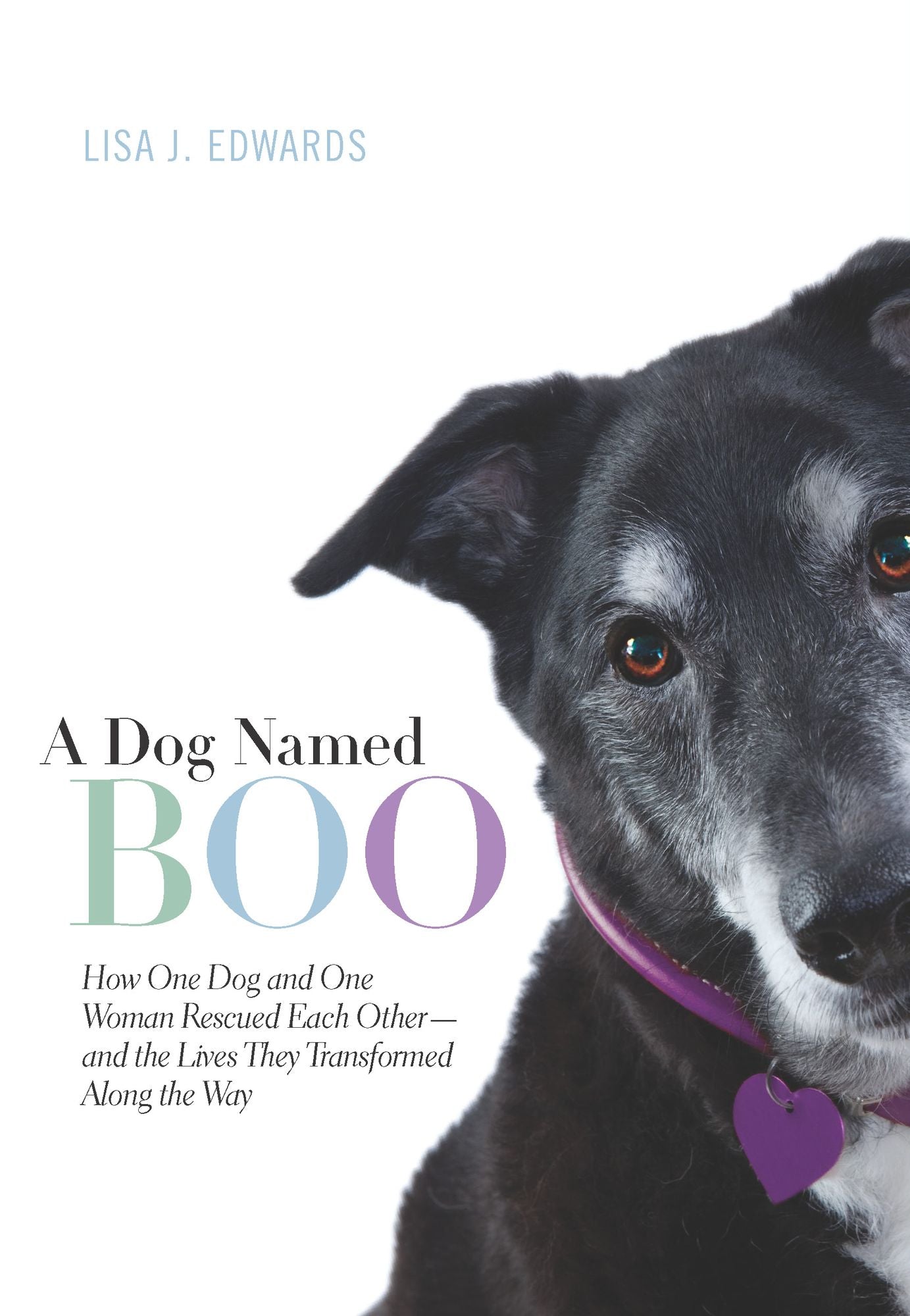 A Dog Named Boo: How One Dog and One Woman Rescued Each Other--and the Lives They Transformed Along the Way