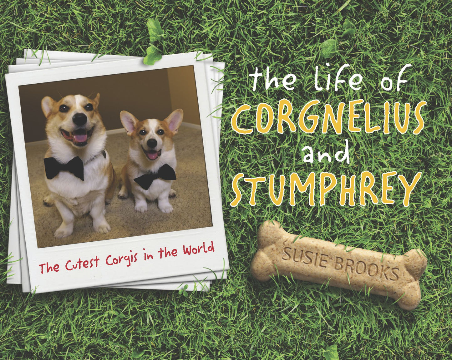 The Life of Corgnelius and Stumphrey: The Cutest Corgis in the World