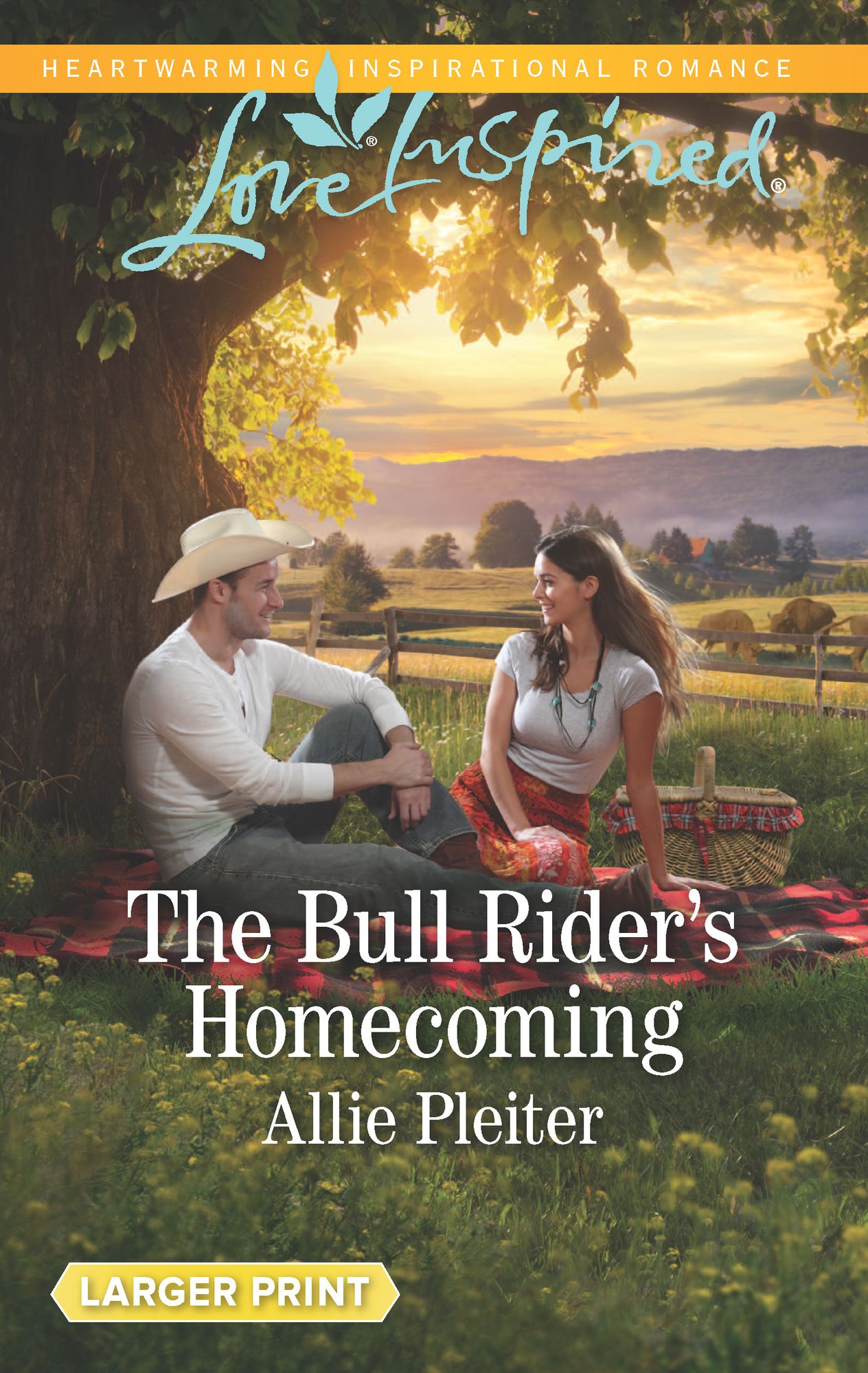 The Bull Rider's Homecoming