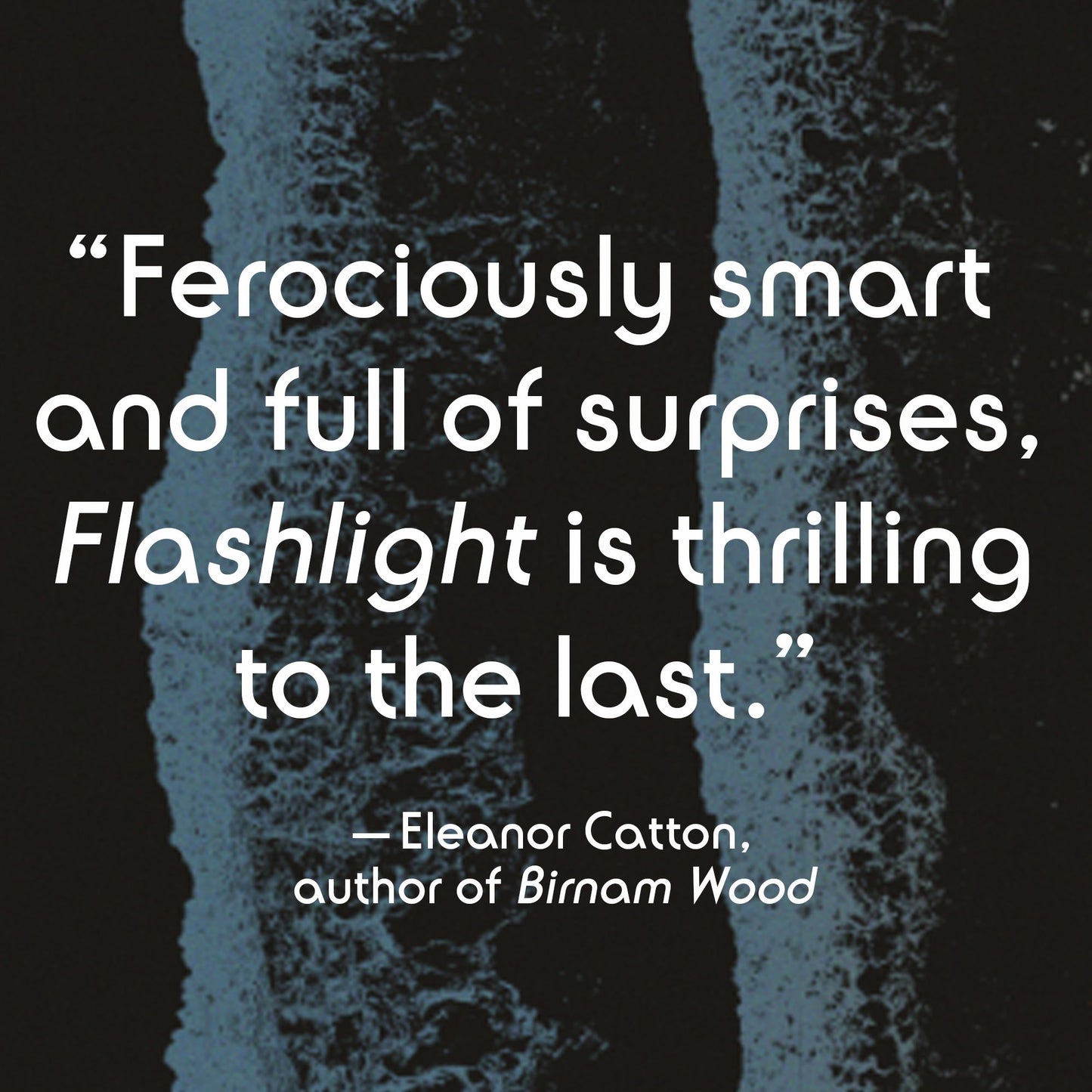Flashlight: A Novel