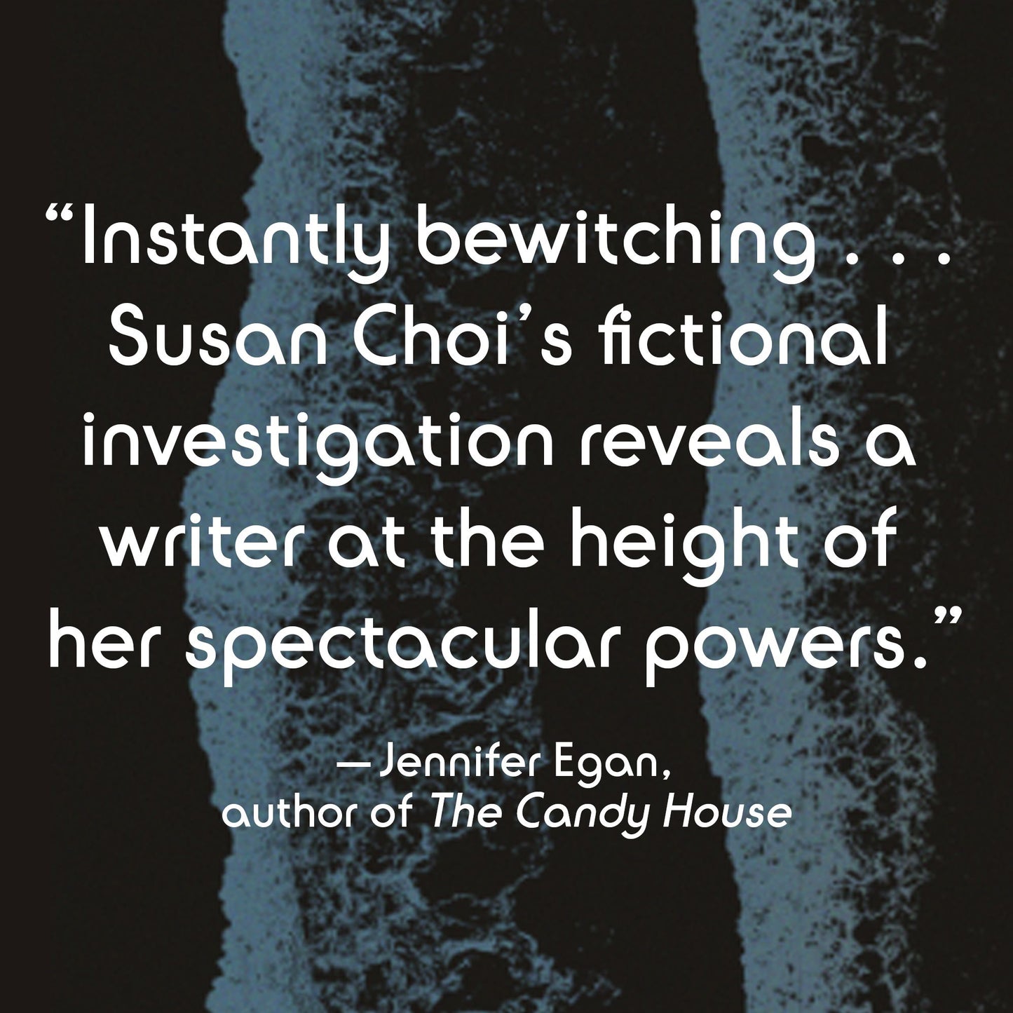 Flashlight: A Novel