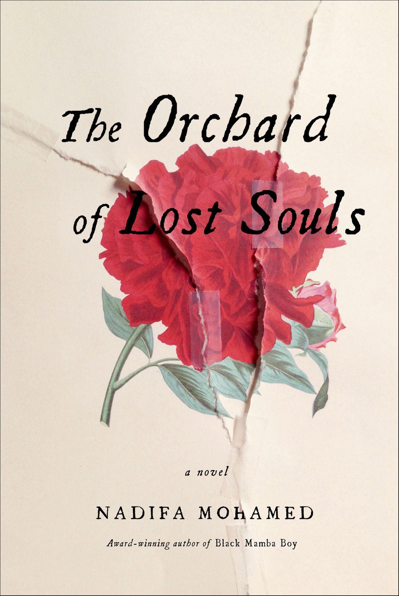The Orchard of Lost Souls