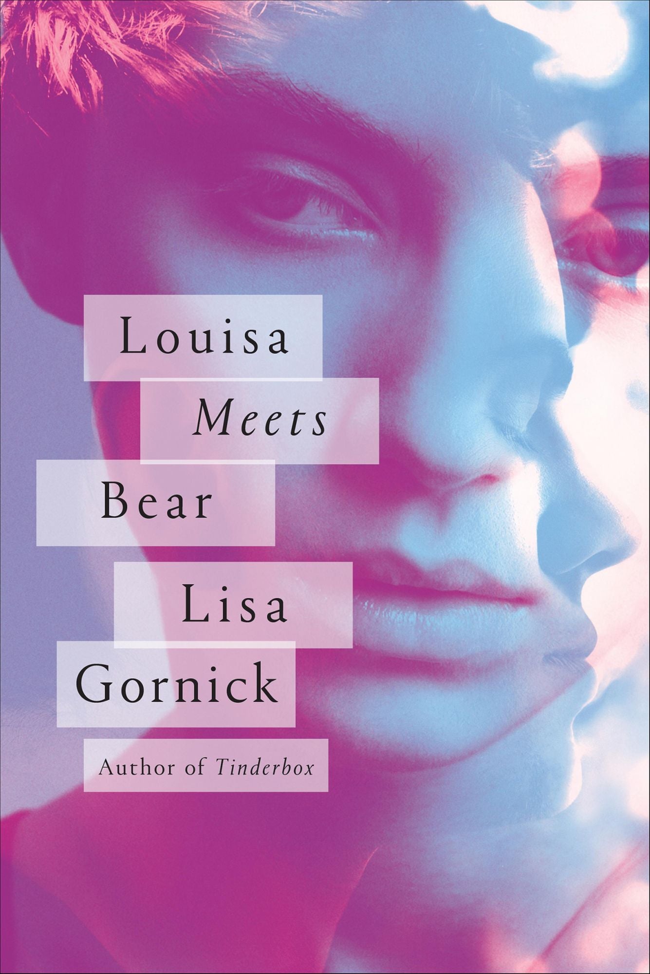 Louisa Meets Bear: Stories