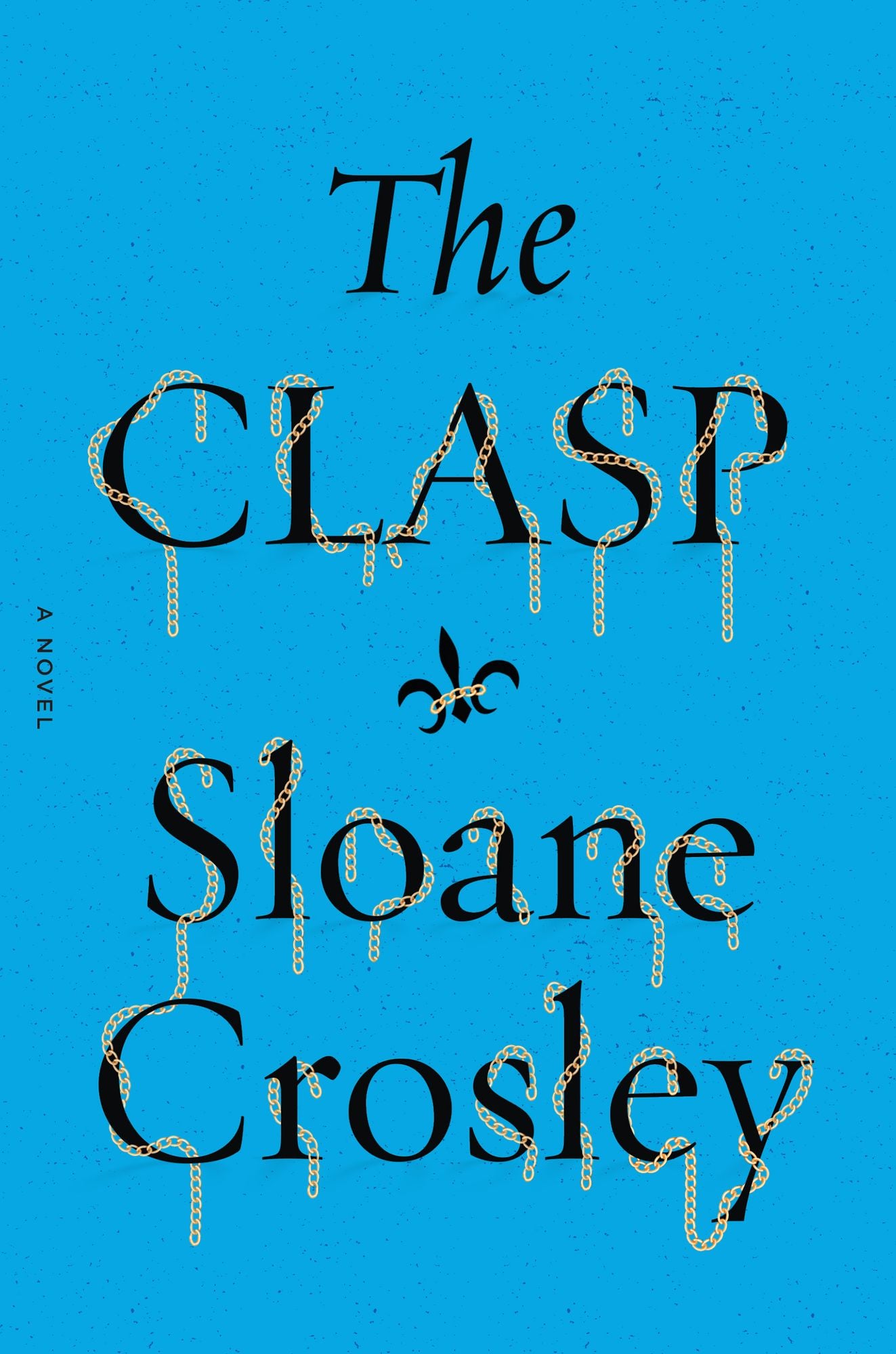 The Clasp: A Novel