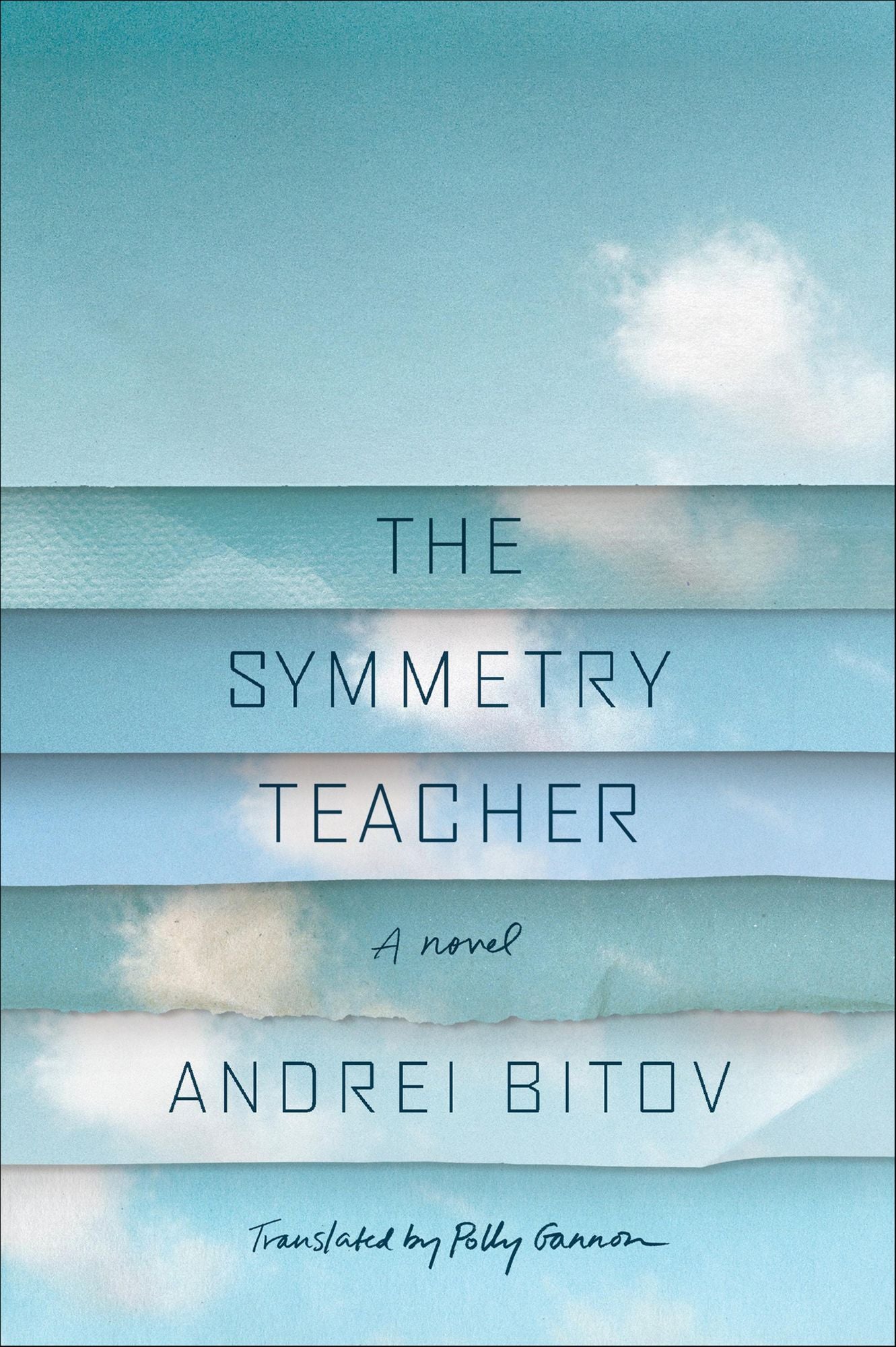 The Symmetry Teacher: A Novel