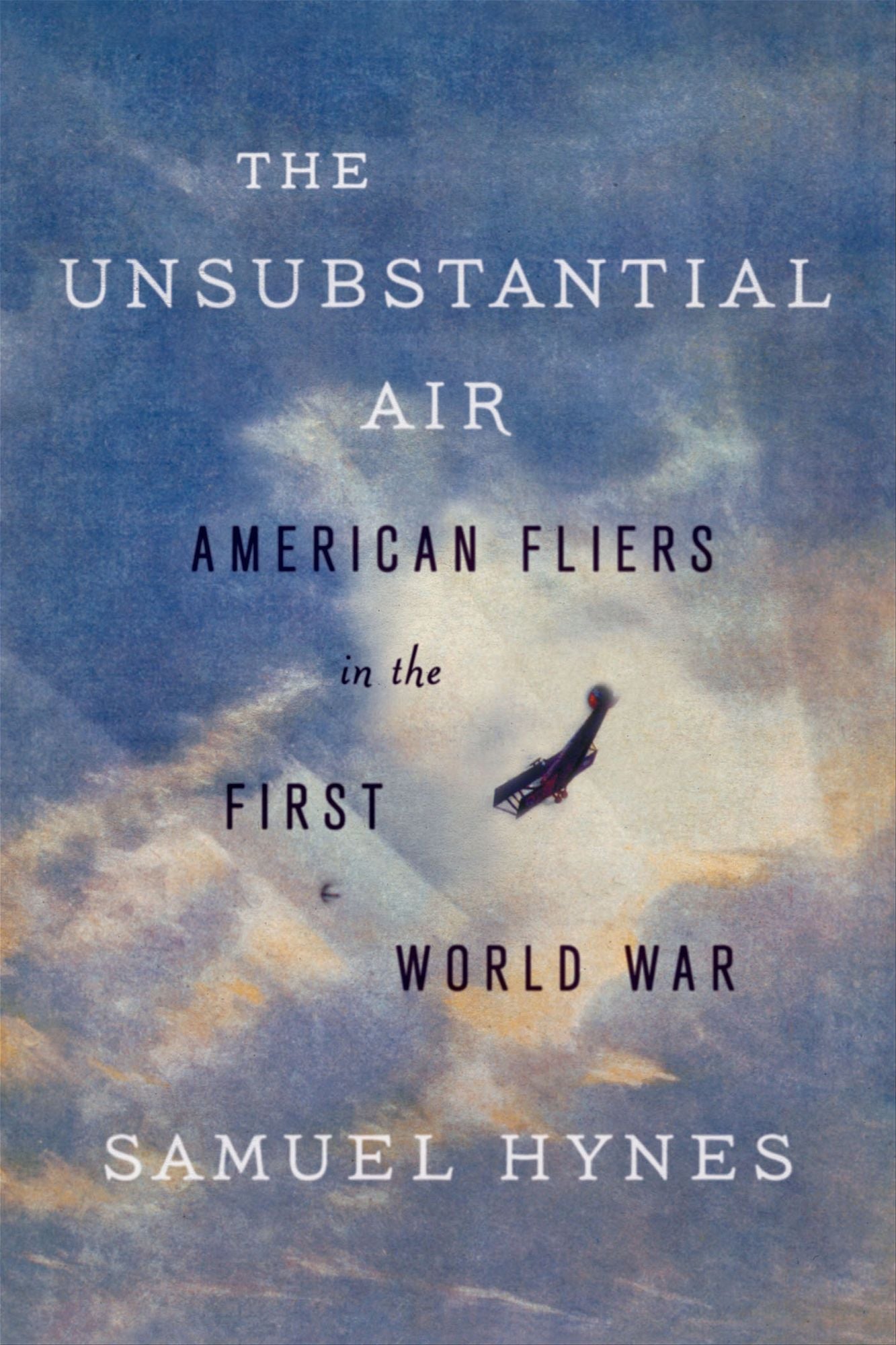 The Unsubstantial Air: American Fliers in the First World War