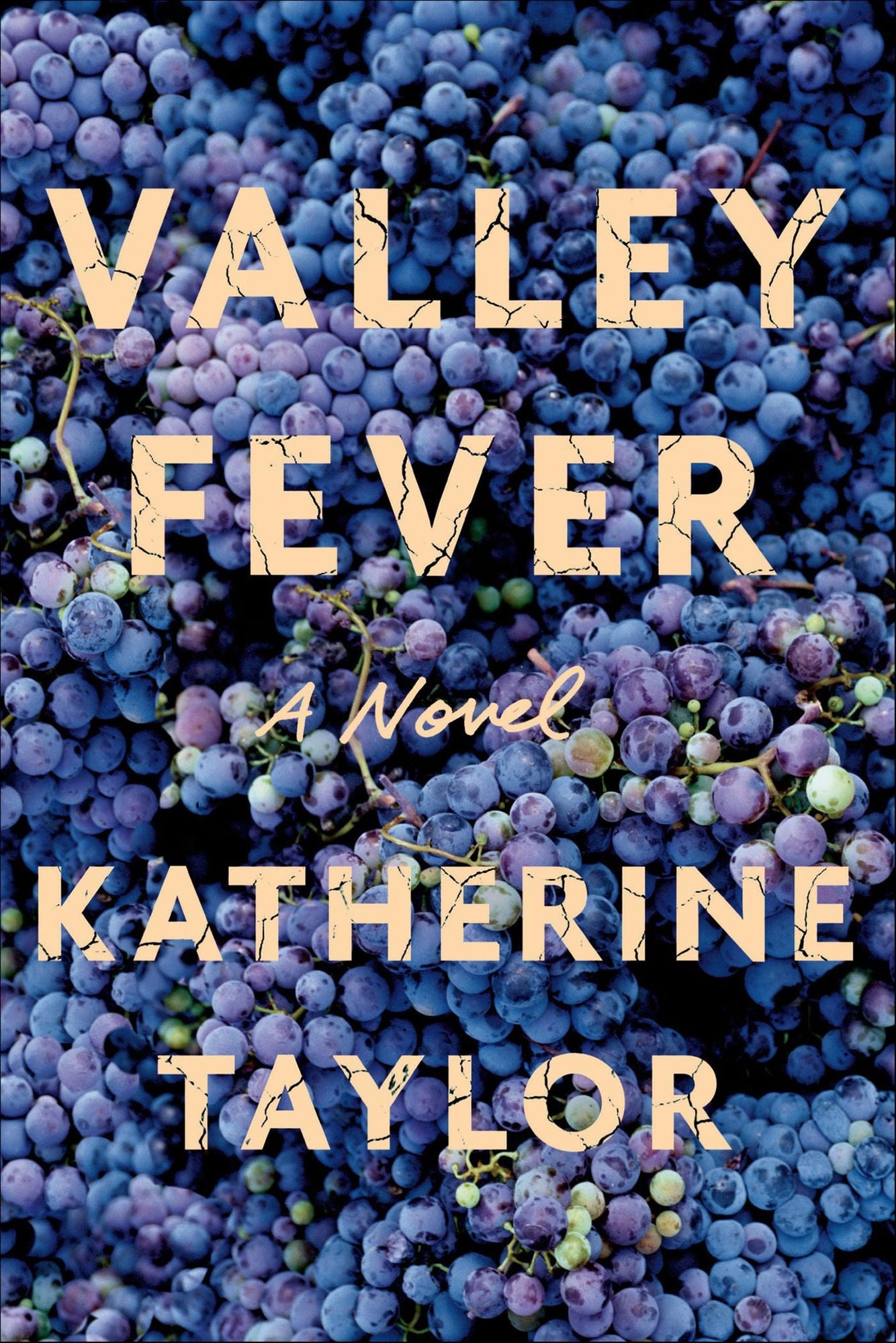 Valley Fever