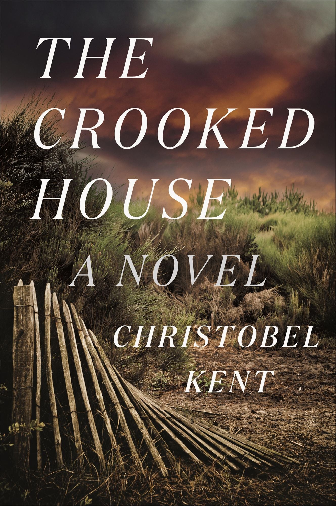 The Crooked House: A Novel