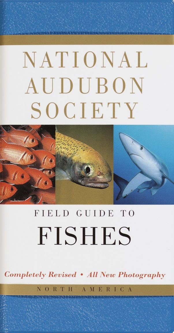 National Audubon Society Field Guide to Fishes: North America (National Audubon Society Series)