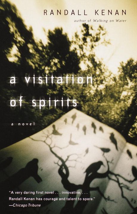 A Visitation of Spirits: A Novel