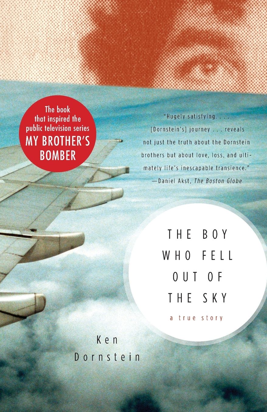 The Boy Who Fell out of the Sky: A True Story