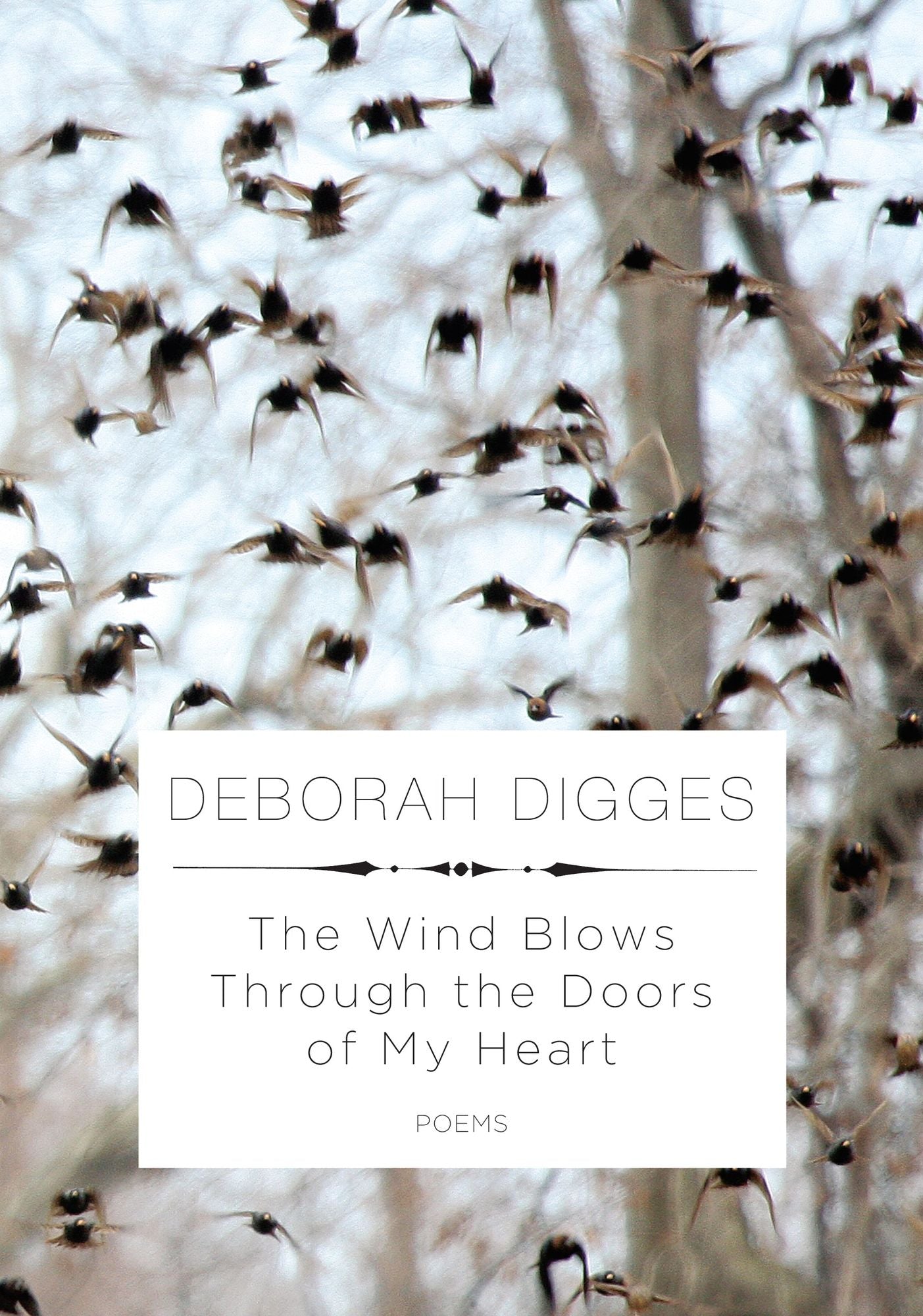The Wind Blows through the Doors of My Heart