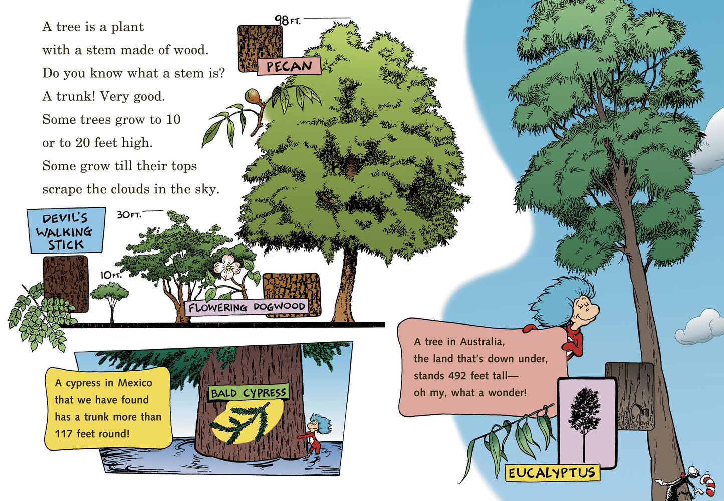 I Can Name 50 Trees Today!: All About Trees (Cat in the Hat's Learning Library Series)