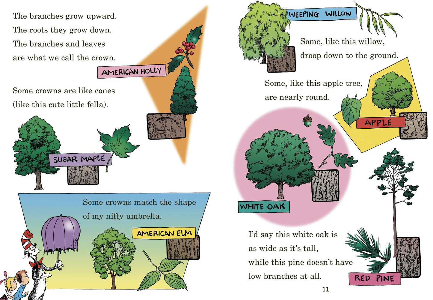 I Can Name 50 Trees Today!: All About Trees (Cat in the Hat's Learning Library Series)
