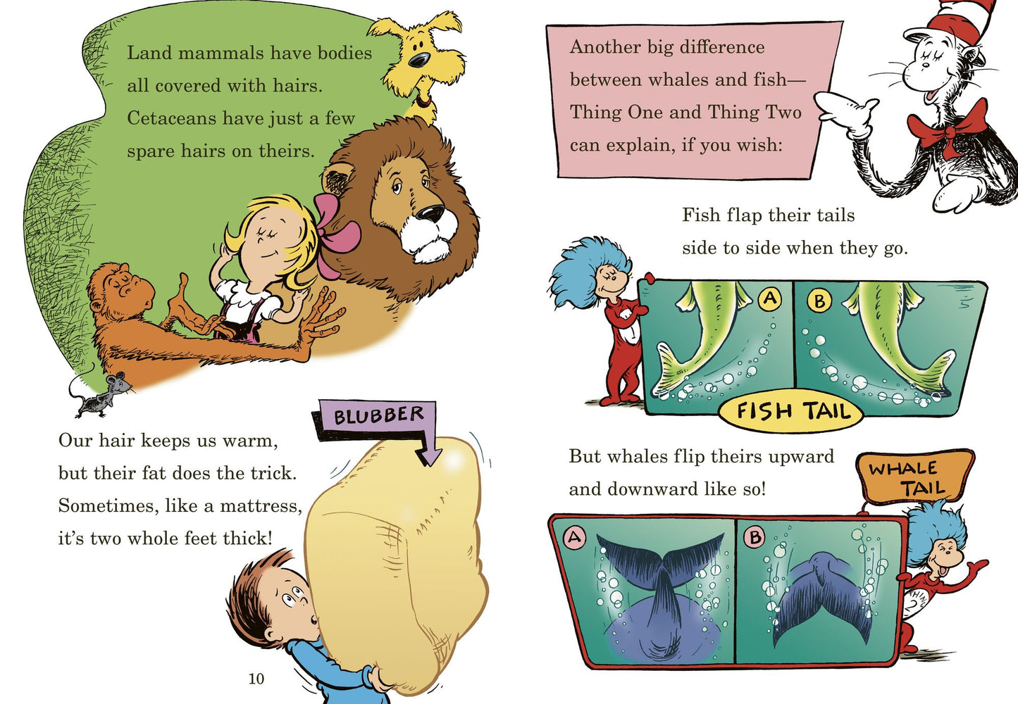 A Whale of a Tale!: All About Porpoises, Dolphins, and Whales (Cat in the Hat's Learning Library Series)