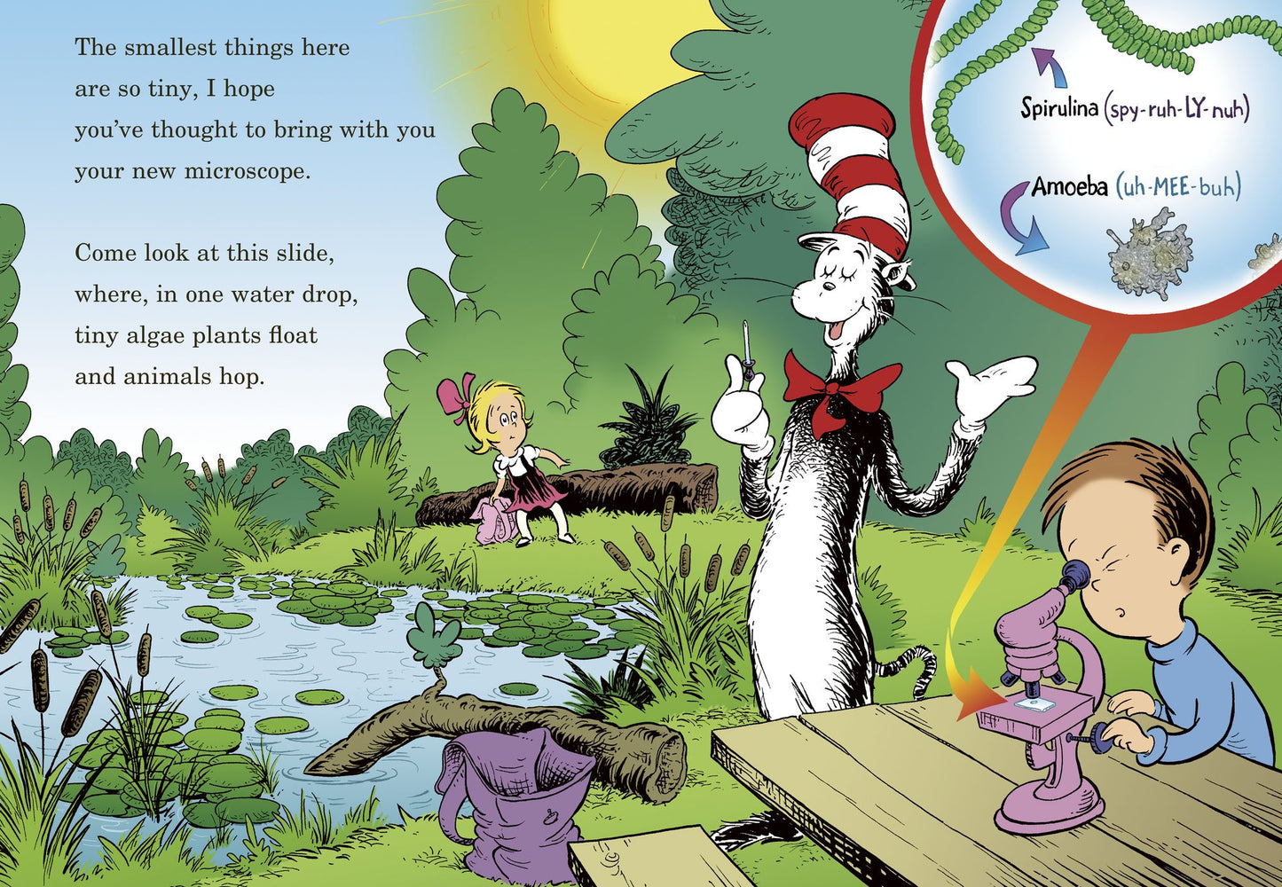 Would You Rather Be a Pollywog?: All About Pond Life (Cat in the Hat's Learning Library Series)