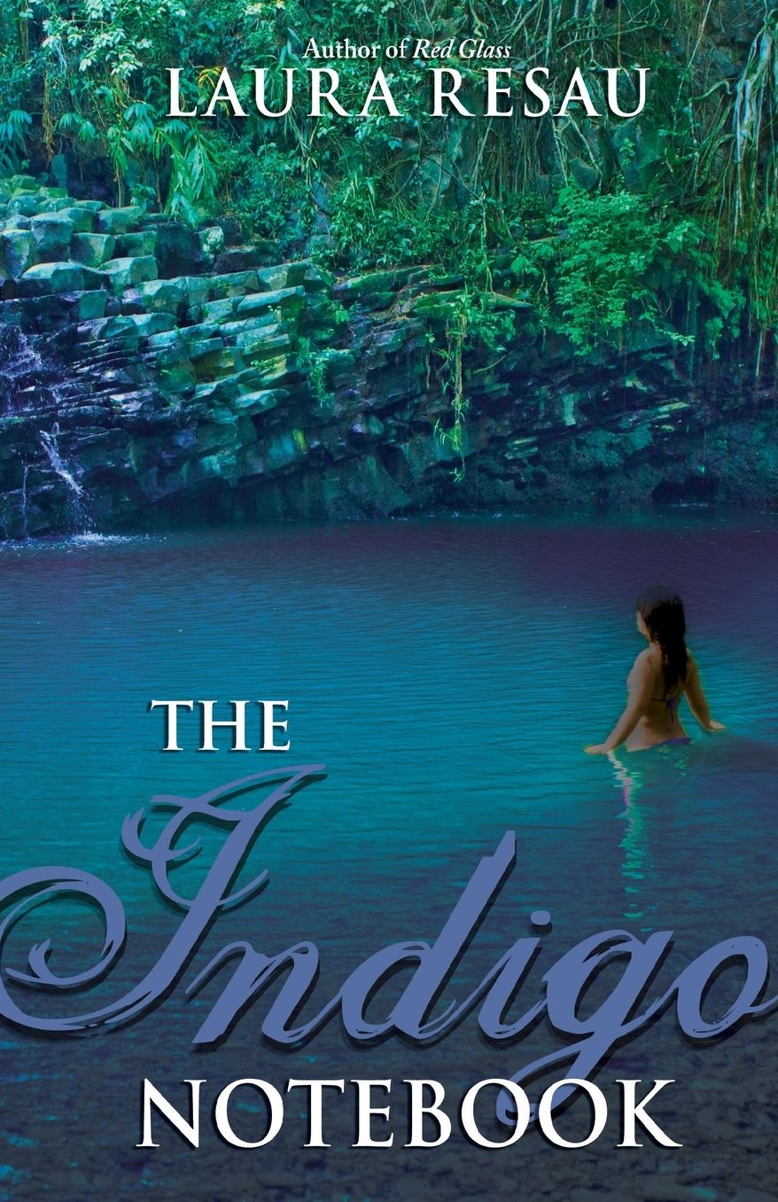 The Indigo Notebook (Notebook Series #1)