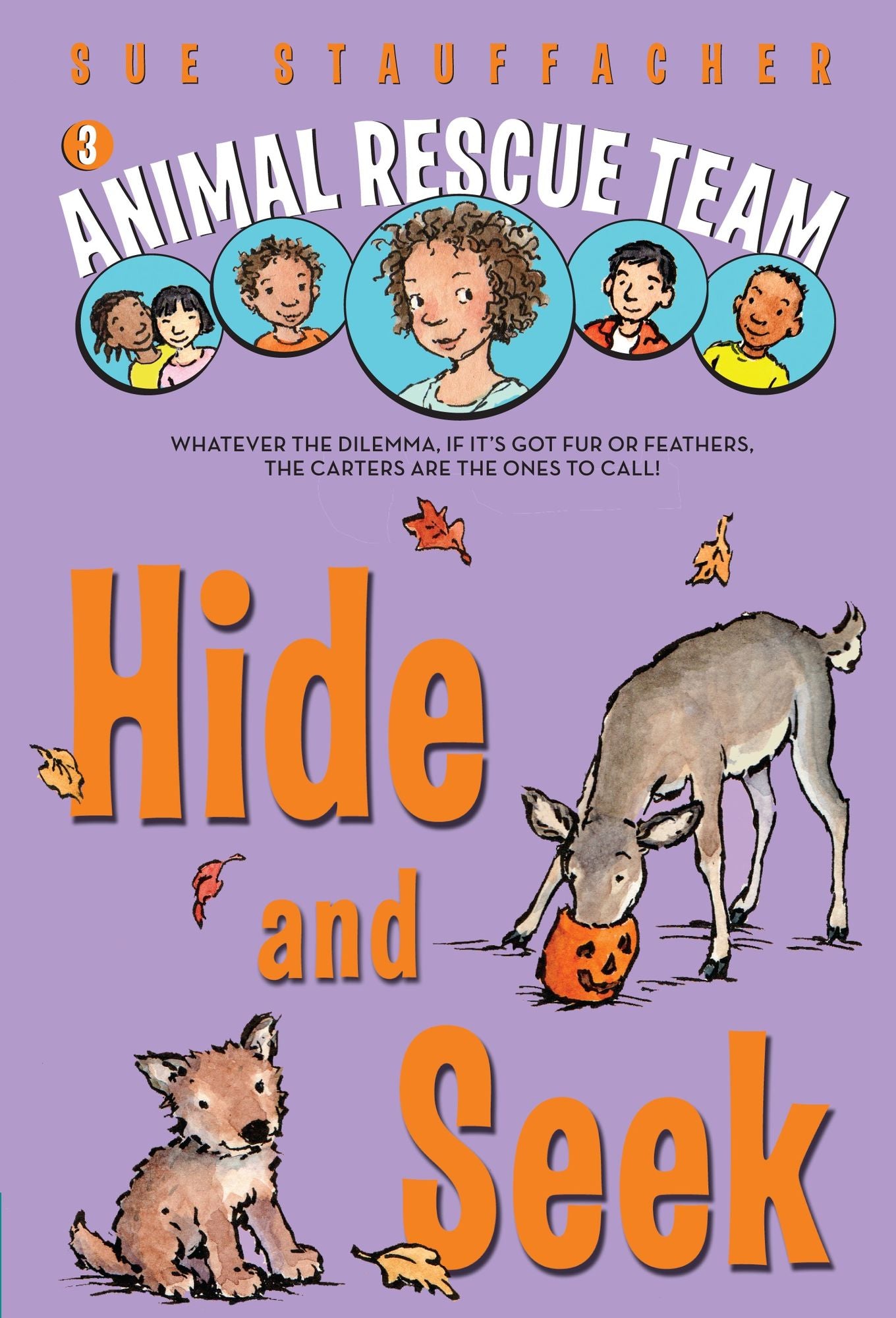 Animal Rescue Team: Hide and Seek