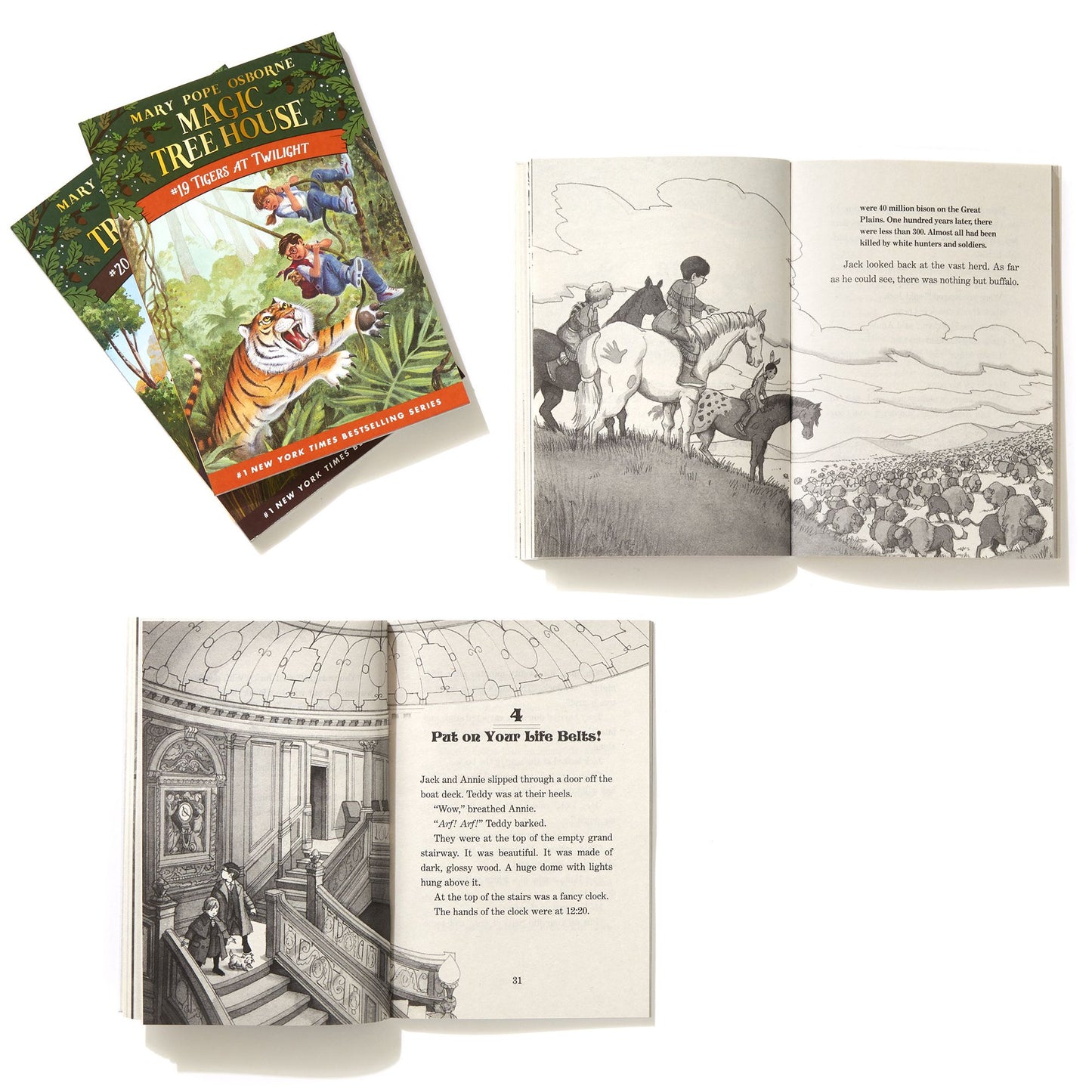 Magic Tree House Volumes 17-20 Boxed Set: The Mystery of the Enchanted Dog
