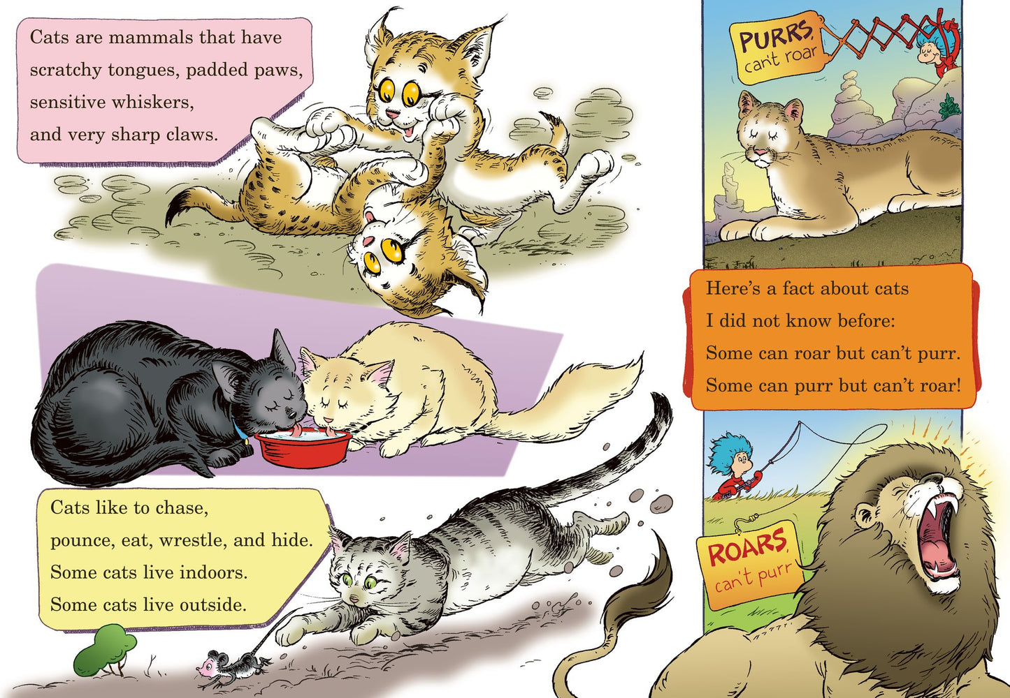 What Cat Is That?: All About Cats (The Cat in the Hat Knows a Lot About That Series)