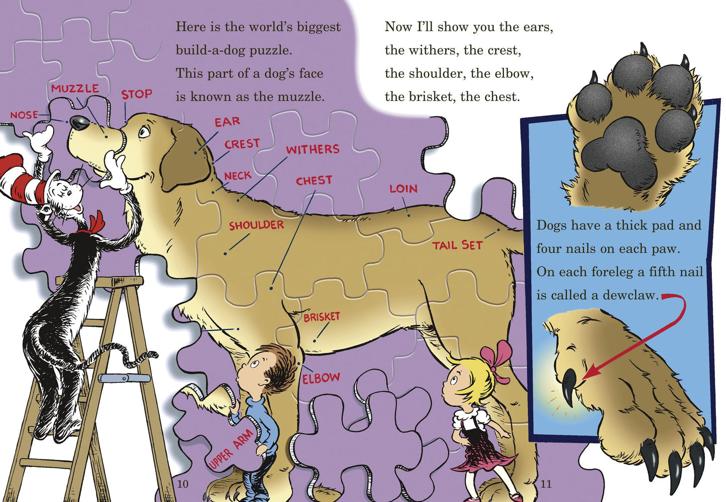 If I Ran the Dog Show: All About Dogs (Cat in the Hat's Learning Library Series)