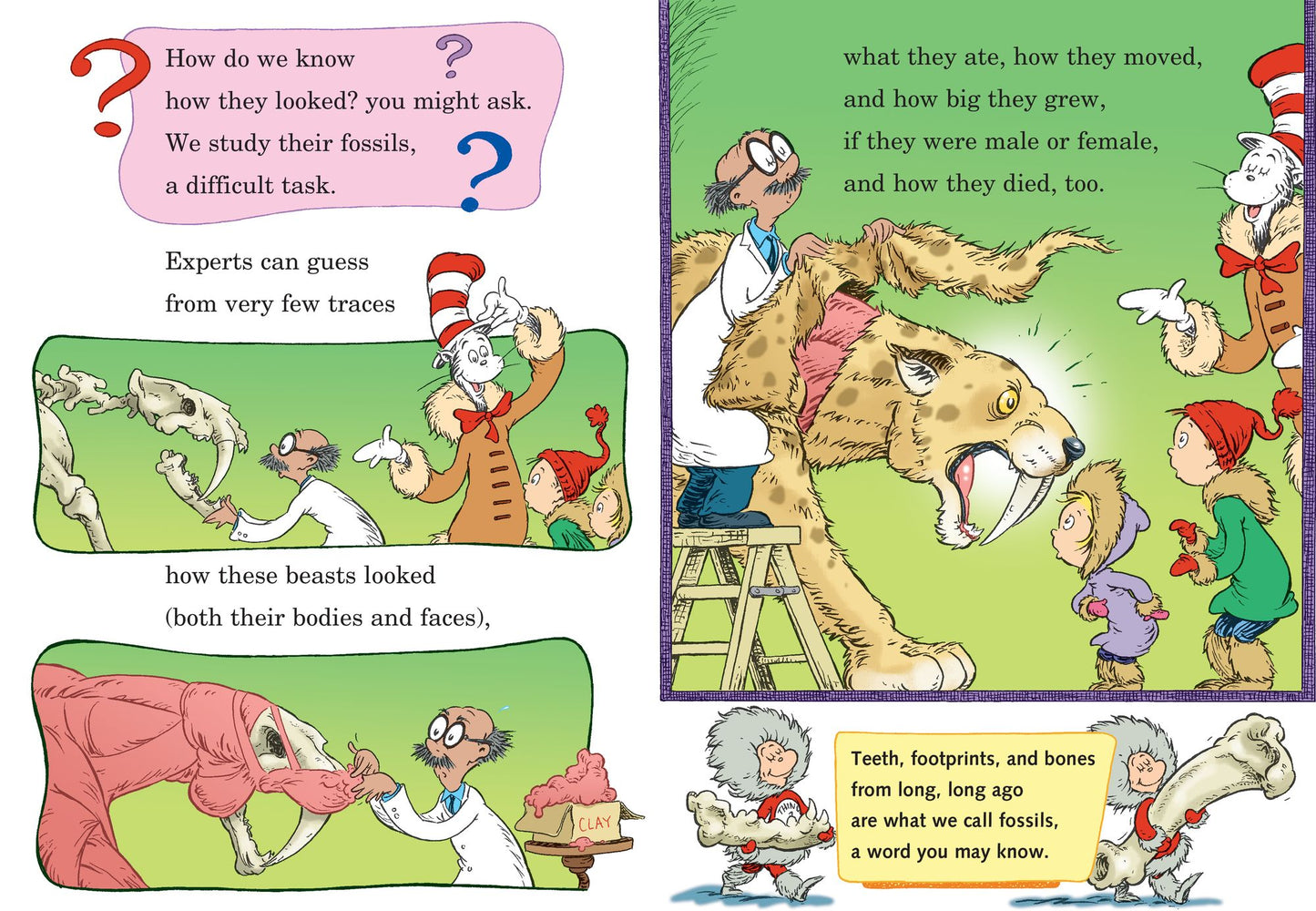 Once upon a Mastodon: All About Prehistoric Mammals