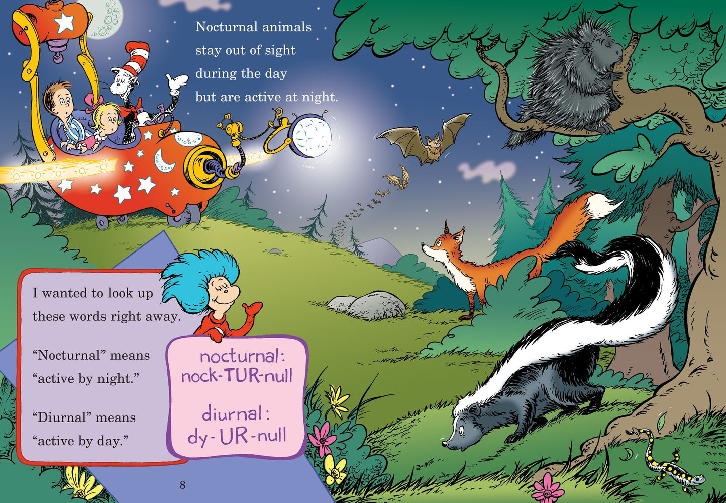 Out of Sight Till Tonight!: All About Nocturnal Animals