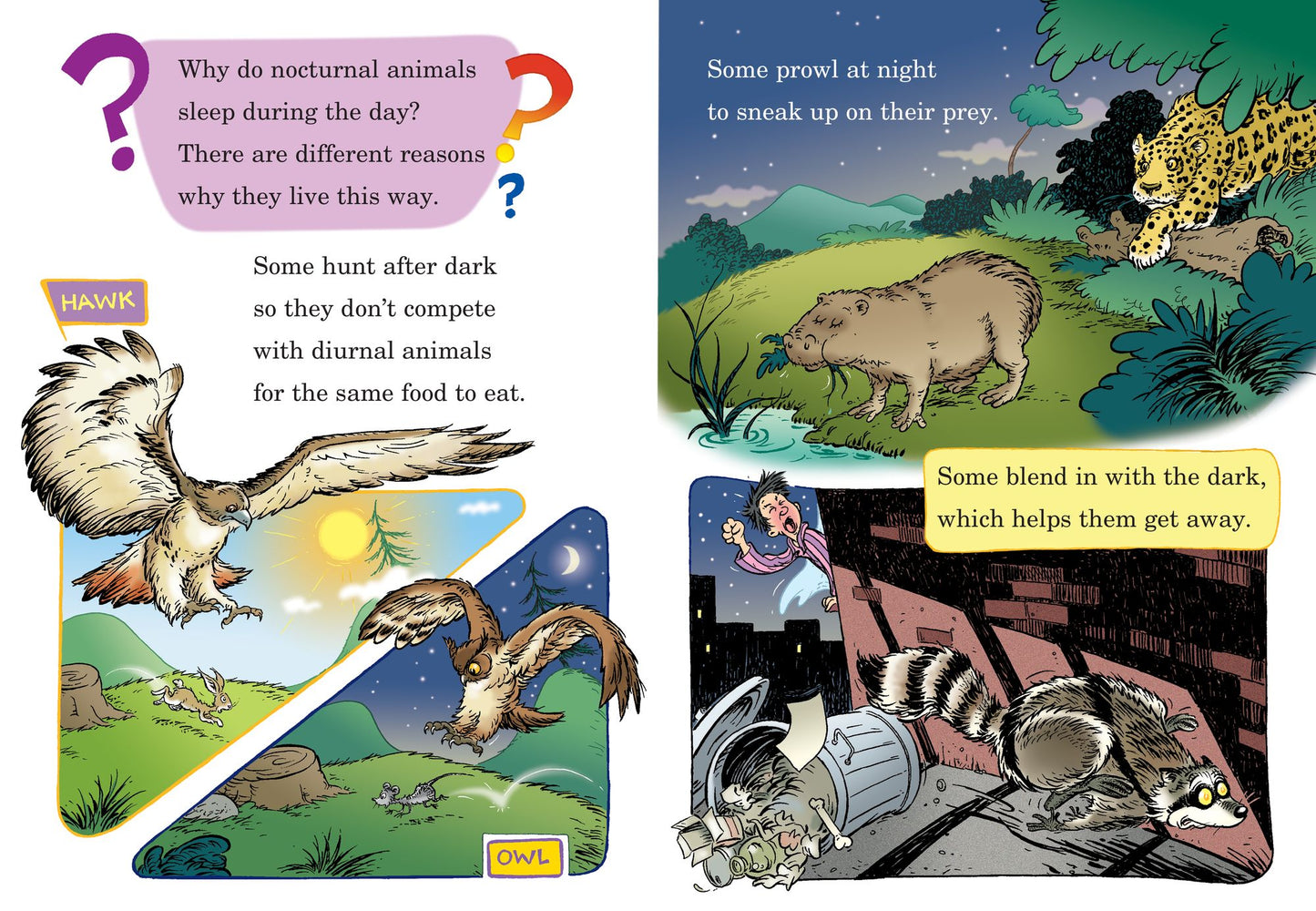 Out of Sight Till Tonight!: All About Nocturnal Animals
