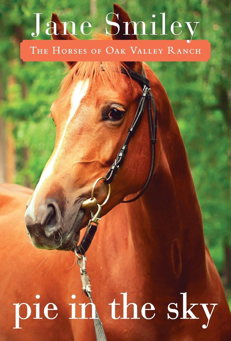 Pie in the Sky (Horses of Oak Valley Ranch Series #4)