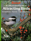 An Illustrated Guide to Attracting Birds