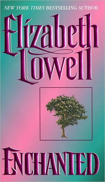 Enchanted (Medieval Series #3)