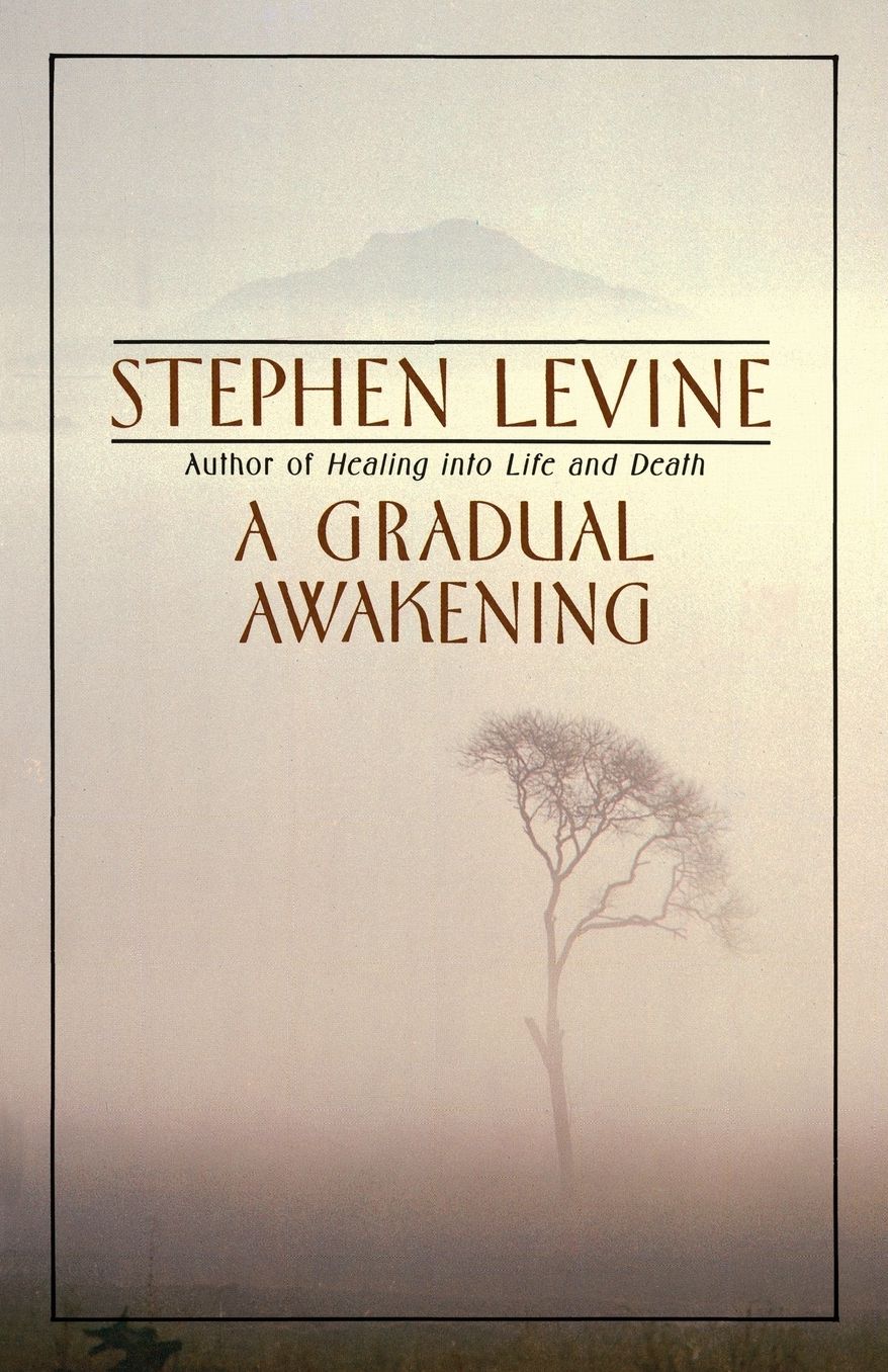 A Gradual Awakening