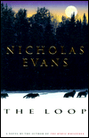 The Loop