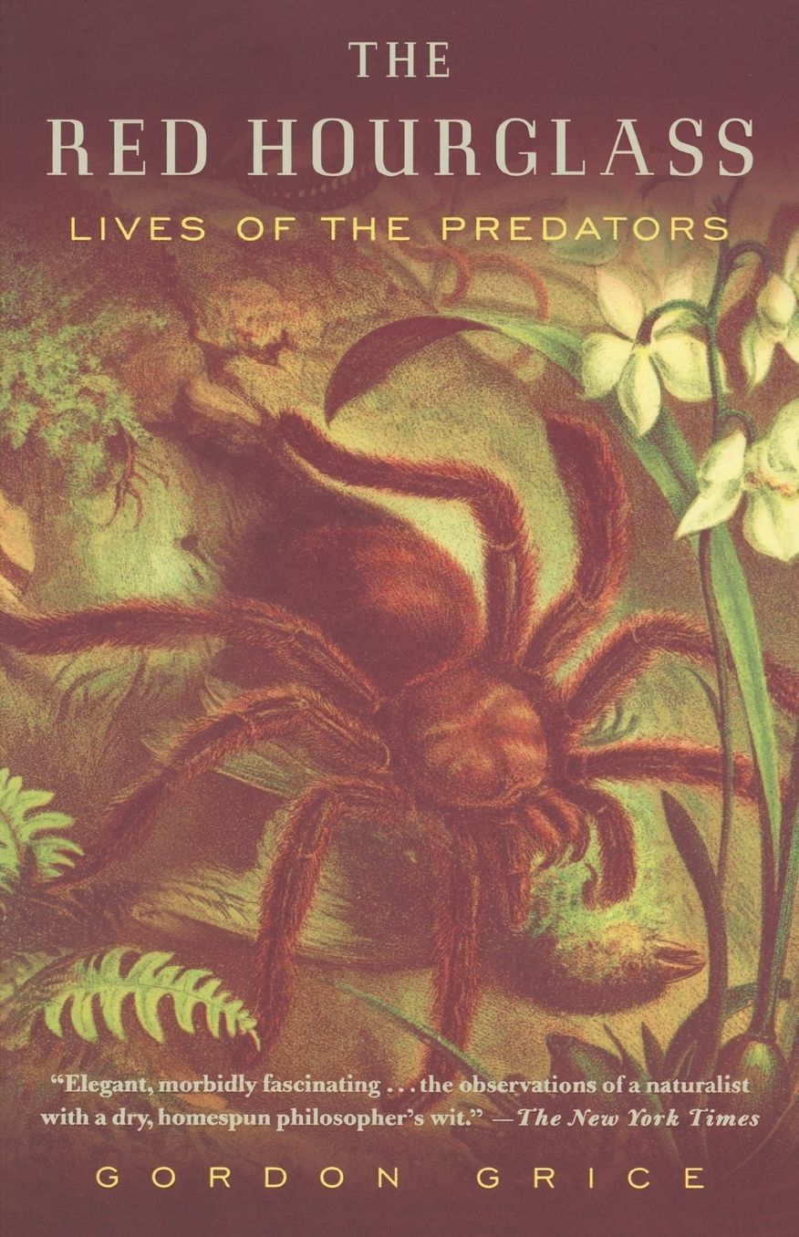 The Red Hourglass: Lives of the Predators