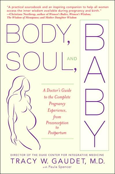 Body, Soul, and Baby: A Doctor's Guide to the Complete Pregnancy Experience, from Preconception to Postpartum