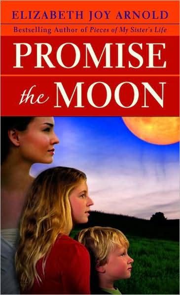 Promise the Moon: A Novel